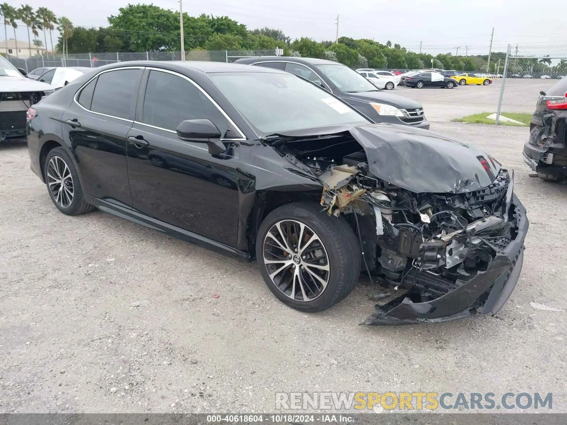 1 Photograph of a damaged car 4T1B11HK5KU225202 TOYOTA CAMRY 2019
