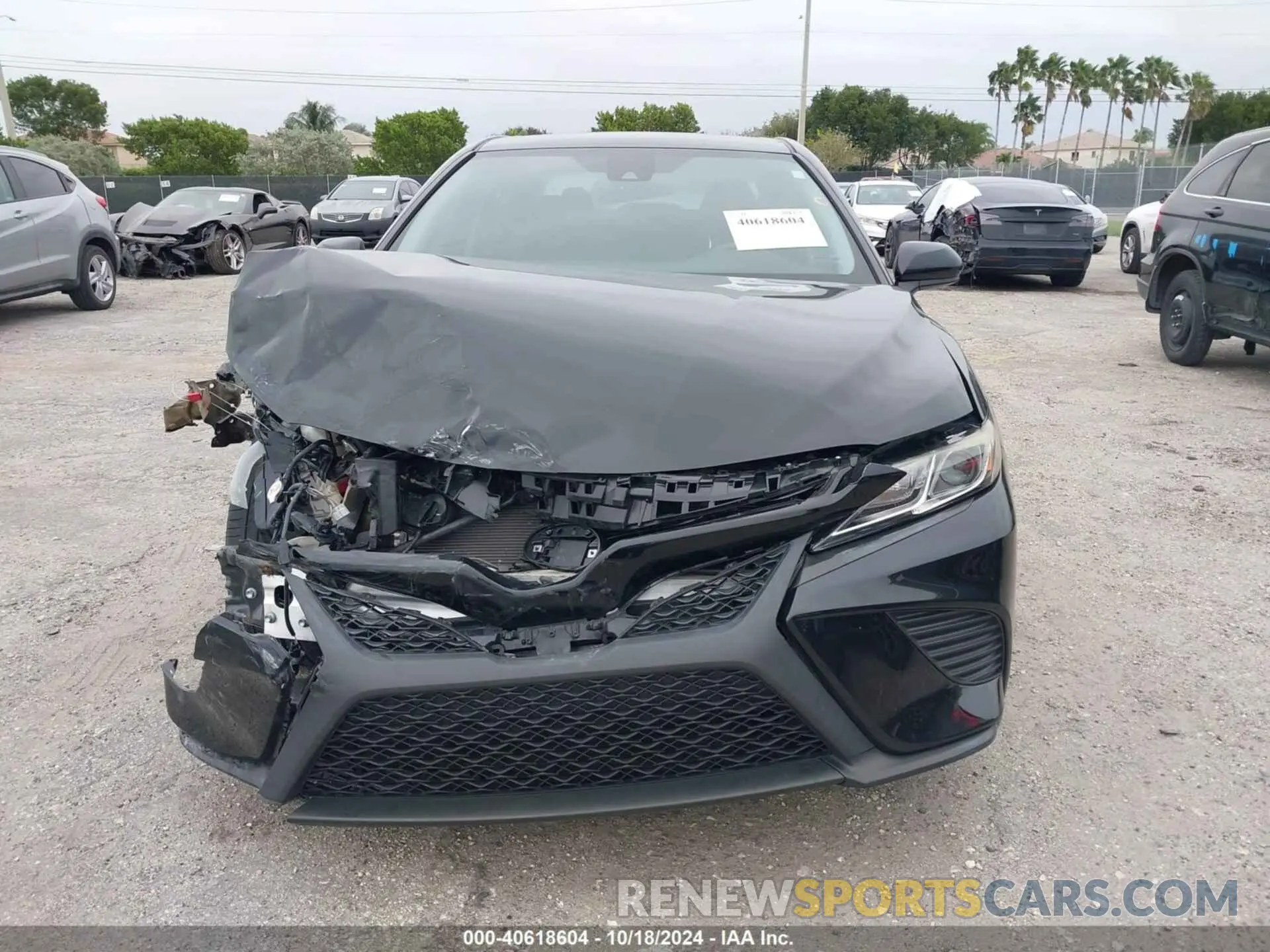 12 Photograph of a damaged car 4T1B11HK5KU225202 TOYOTA CAMRY 2019