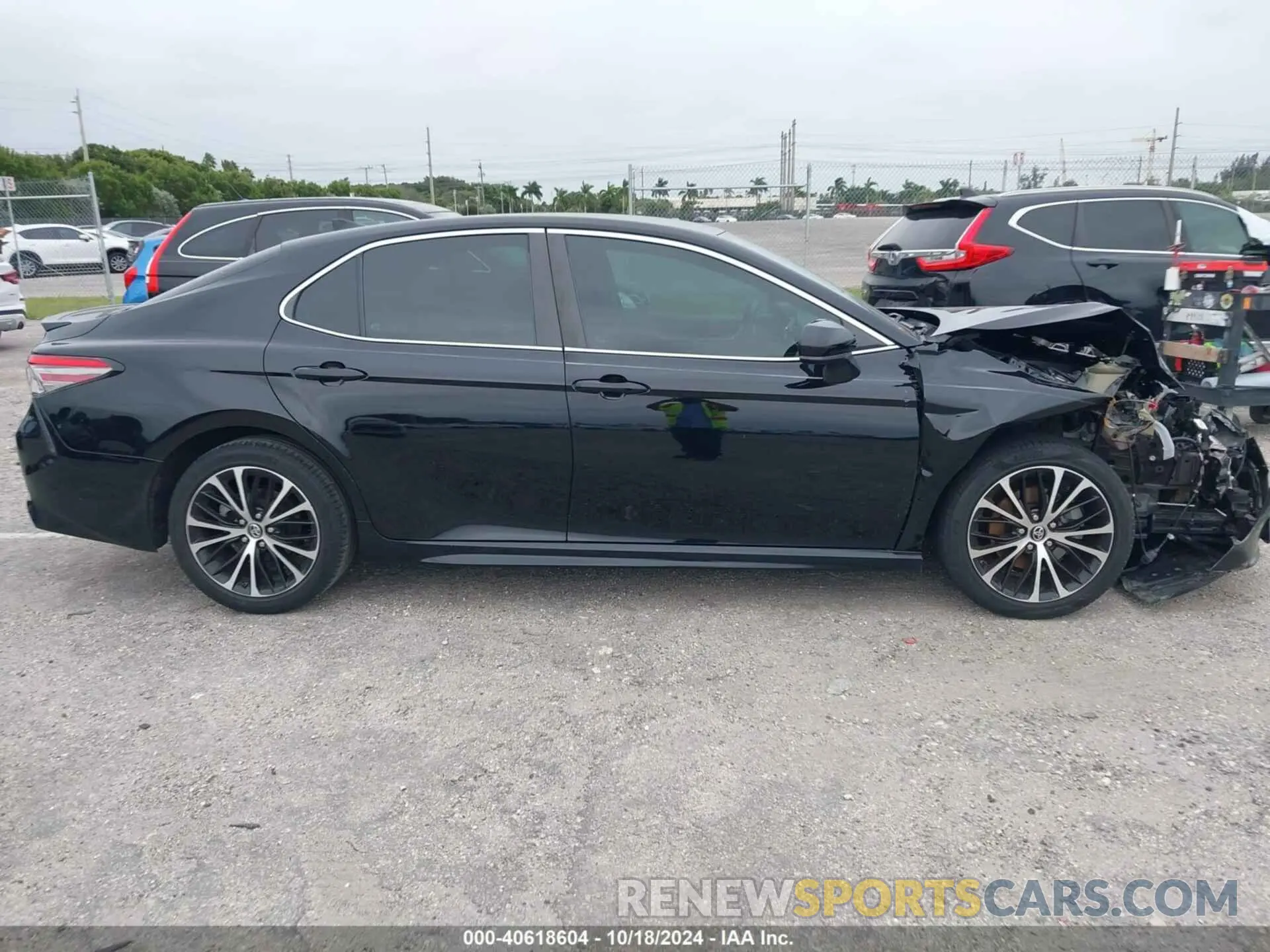 13 Photograph of a damaged car 4T1B11HK5KU225202 TOYOTA CAMRY 2019