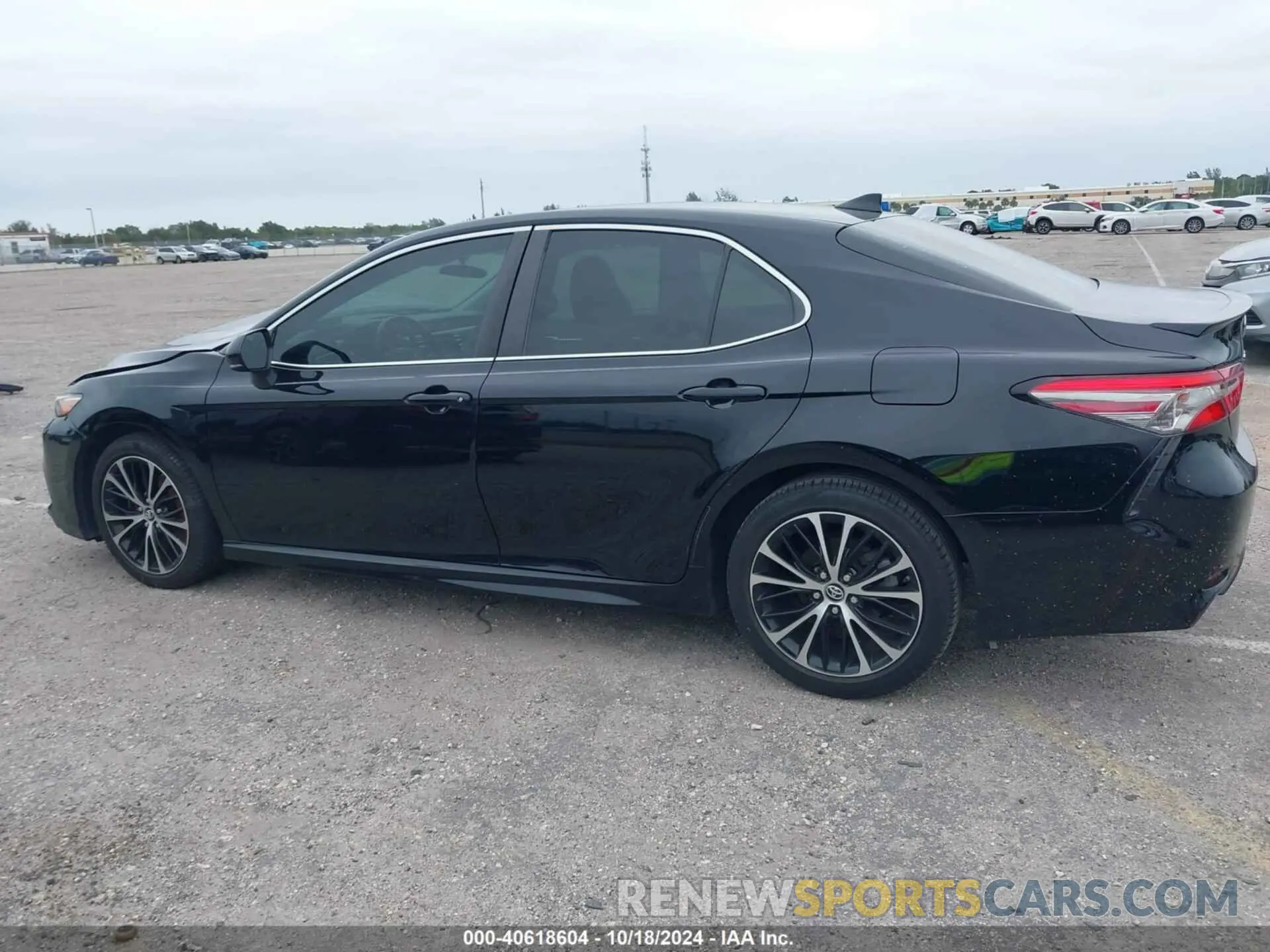 14 Photograph of a damaged car 4T1B11HK5KU225202 TOYOTA CAMRY 2019