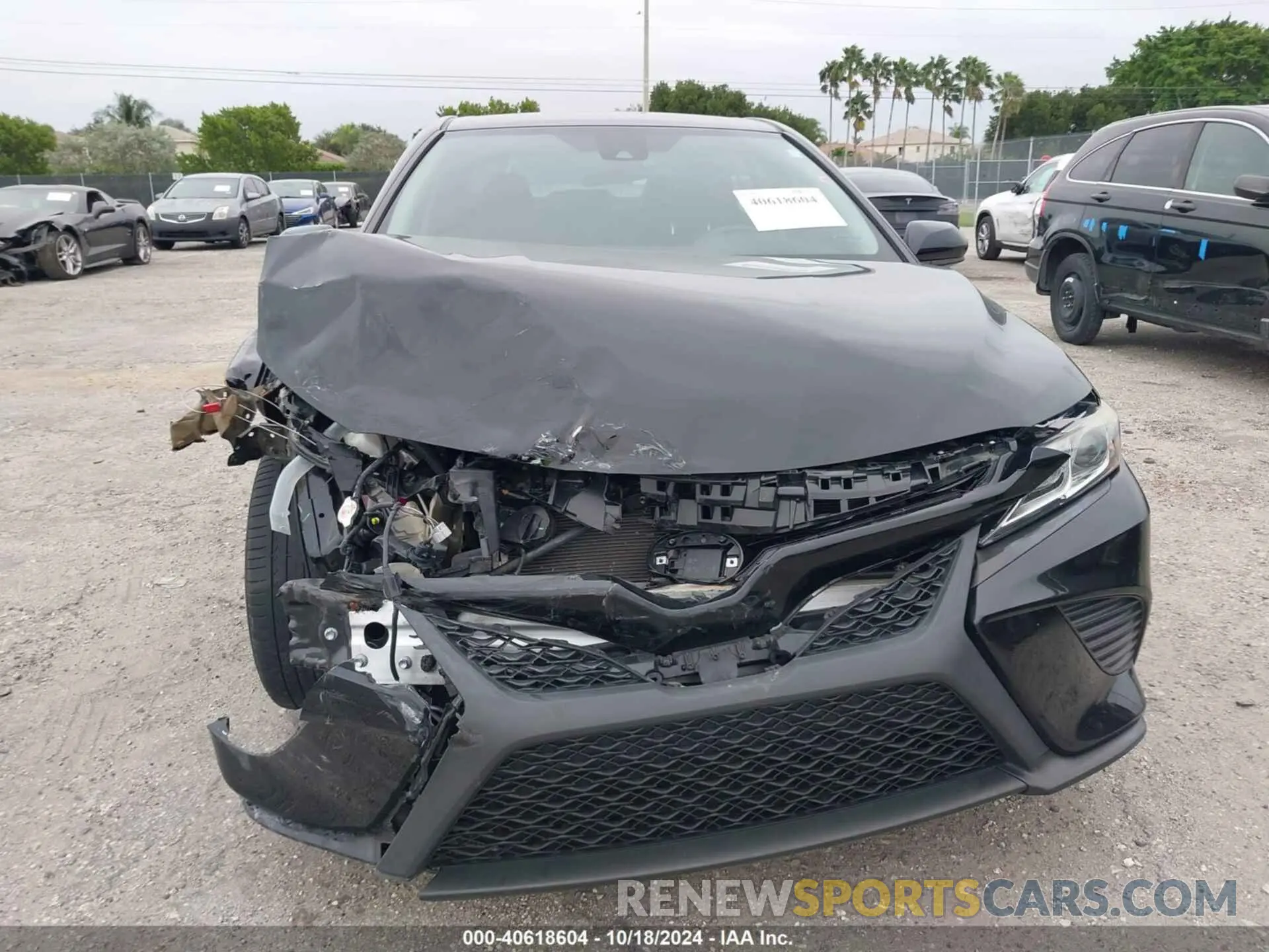 6 Photograph of a damaged car 4T1B11HK5KU225202 TOYOTA CAMRY 2019