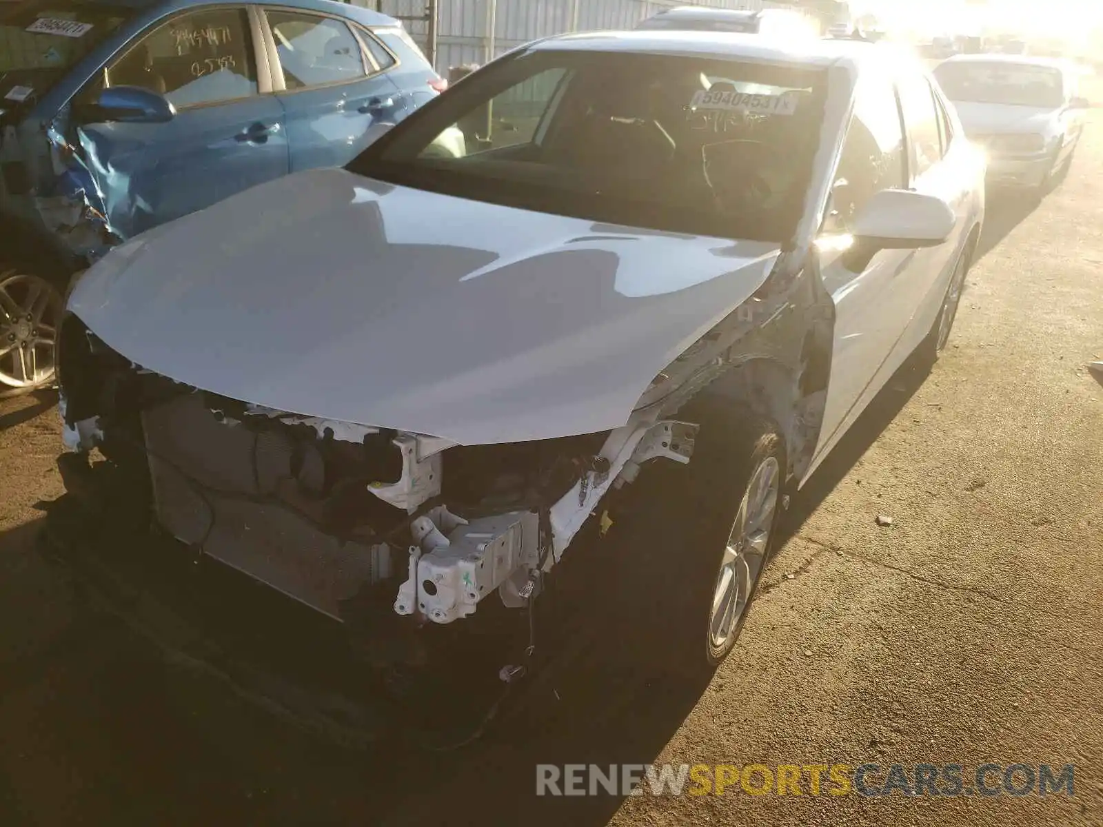 2 Photograph of a damaged car 4T1B11HK5KU231016 TOYOTA CAMRY 2019