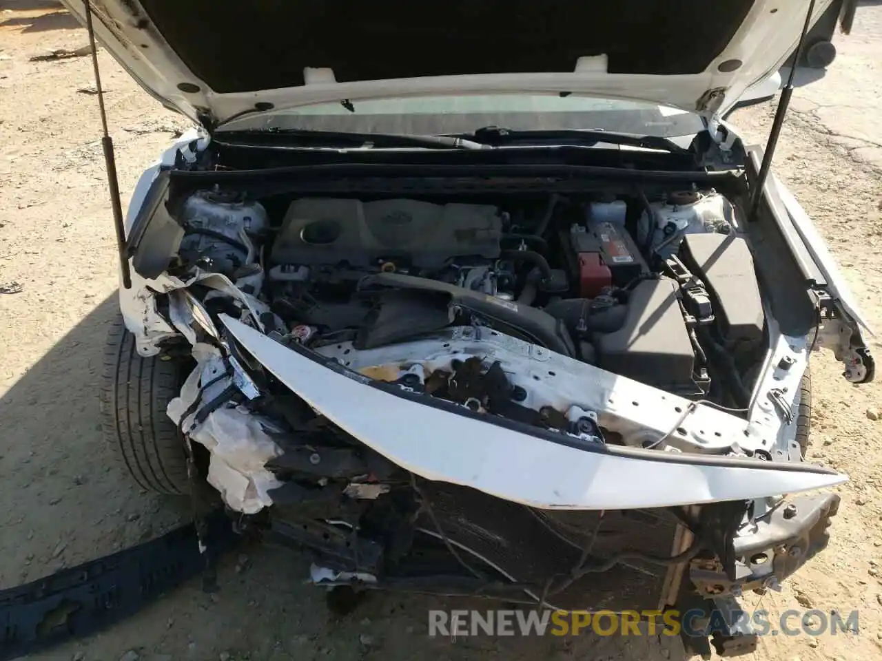 7 Photograph of a damaged car 4T1B11HK5KU257342 TOYOTA CAMRY 2019