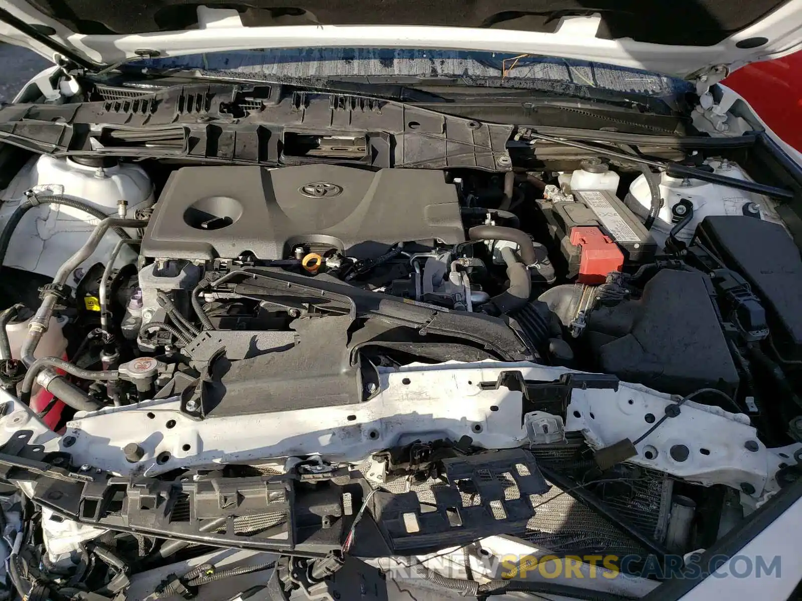 7 Photograph of a damaged car 4T1B11HK5KU258006 TOYOTA CAMRY 2019