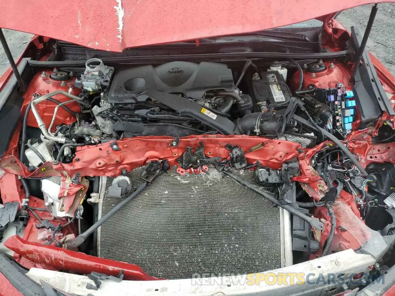 11 Photograph of a damaged car 4T1B11HK5KU258684 TOYOTA CAMRY 2019
