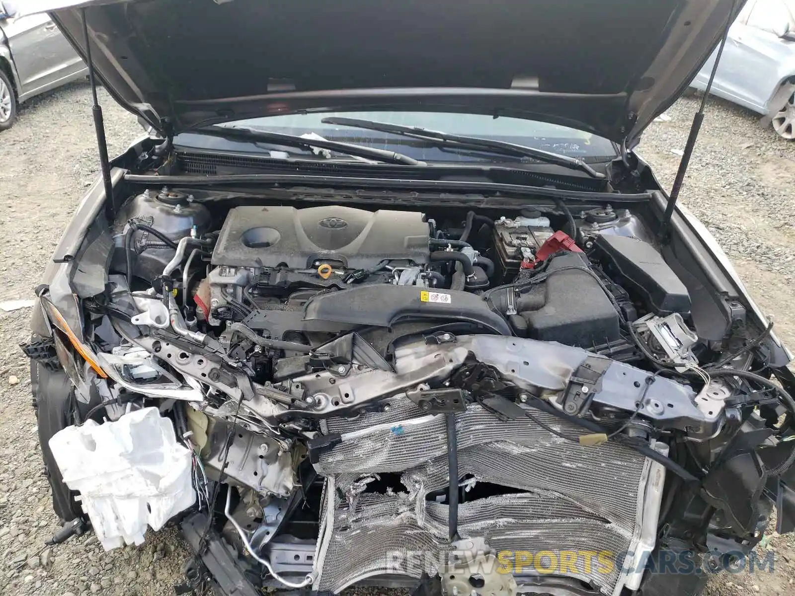 7 Photograph of a damaged car 4T1B11HK5KU261925 TOYOTA CAMRY 2019