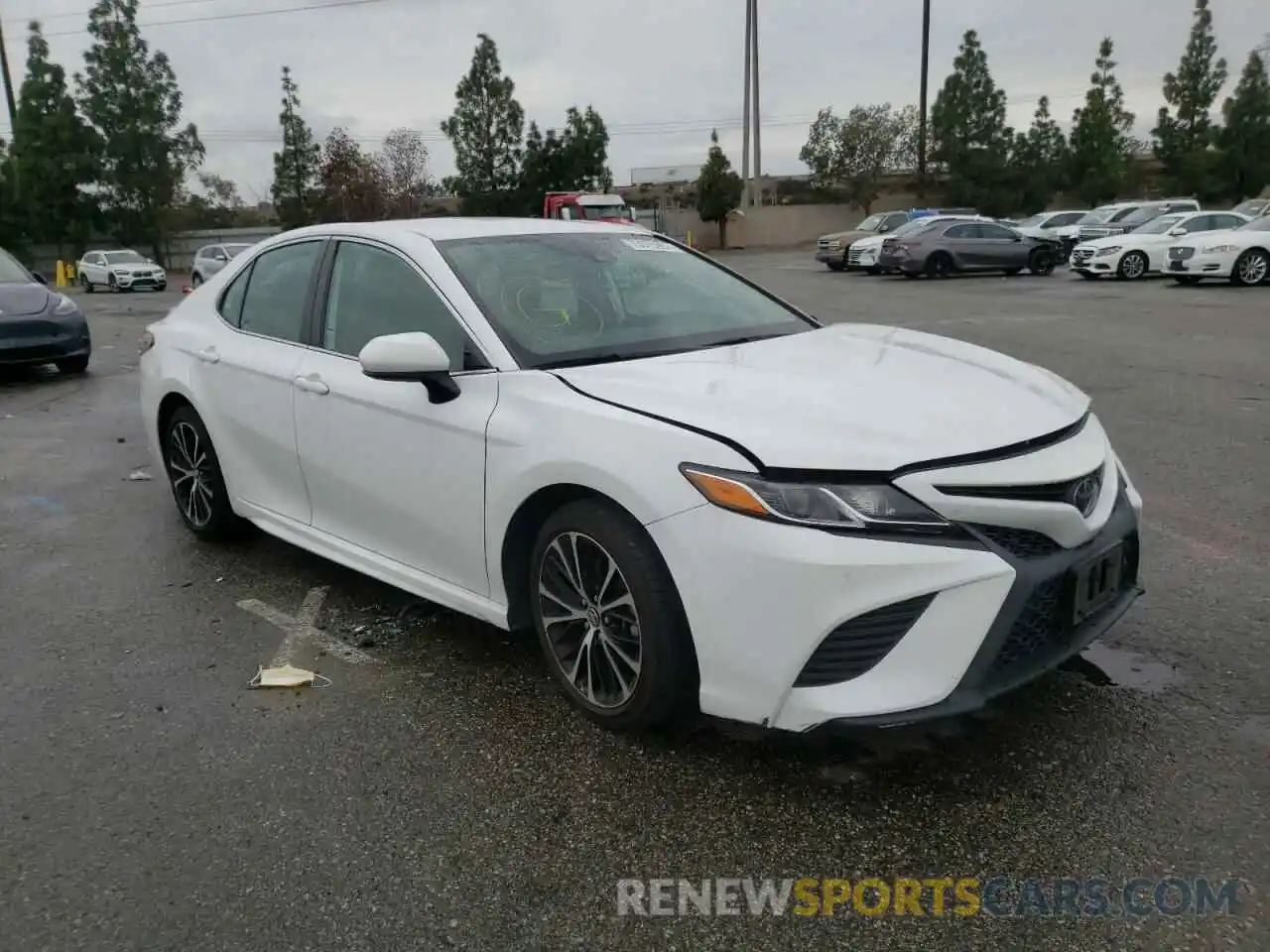 4 Photograph of a damaged car 4T1B11HK5KU280314 TOYOTA CAMRY 2019