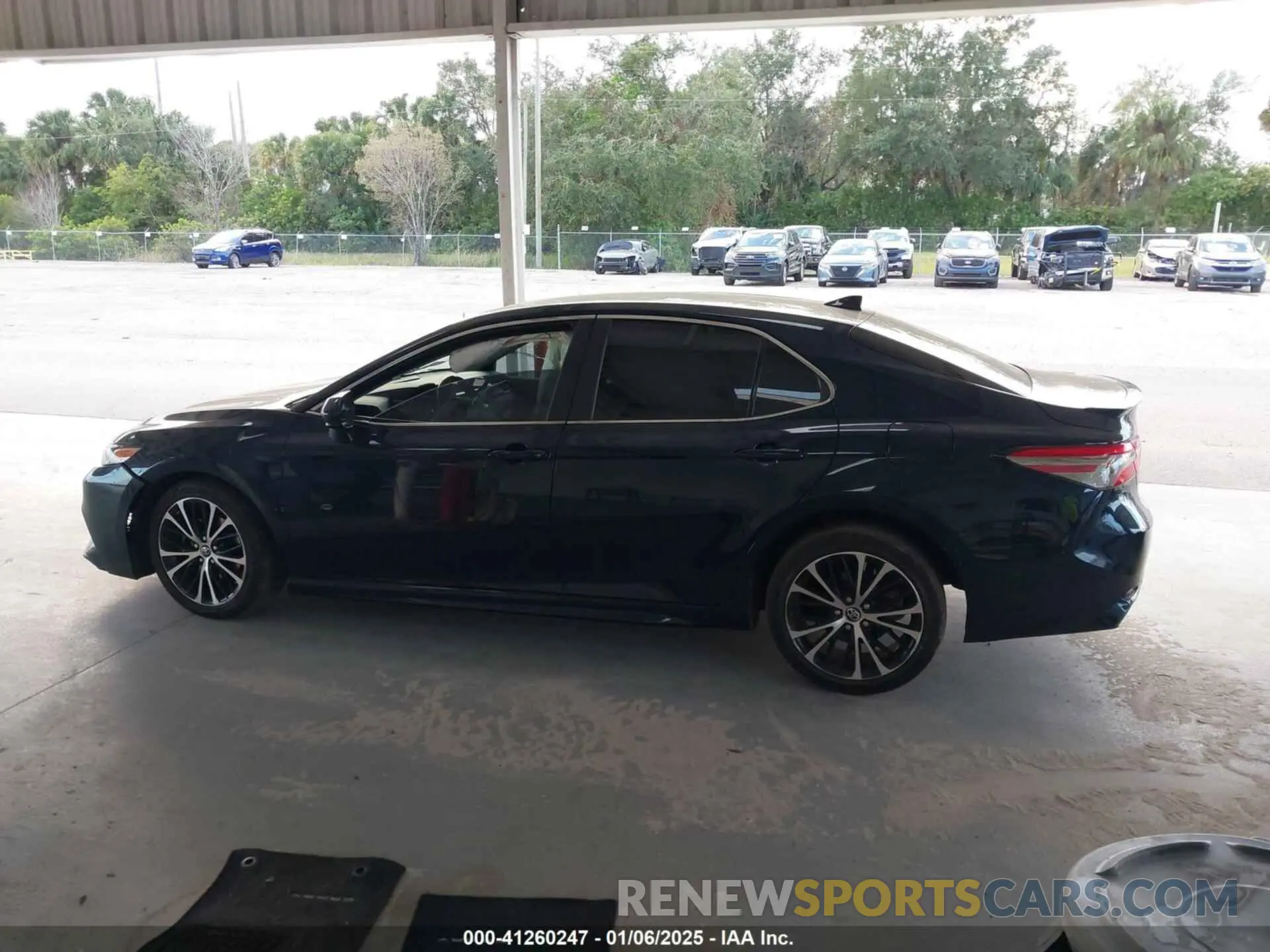 14 Photograph of a damaged car 4T1B11HK5KU295928 TOYOTA CAMRY 2019