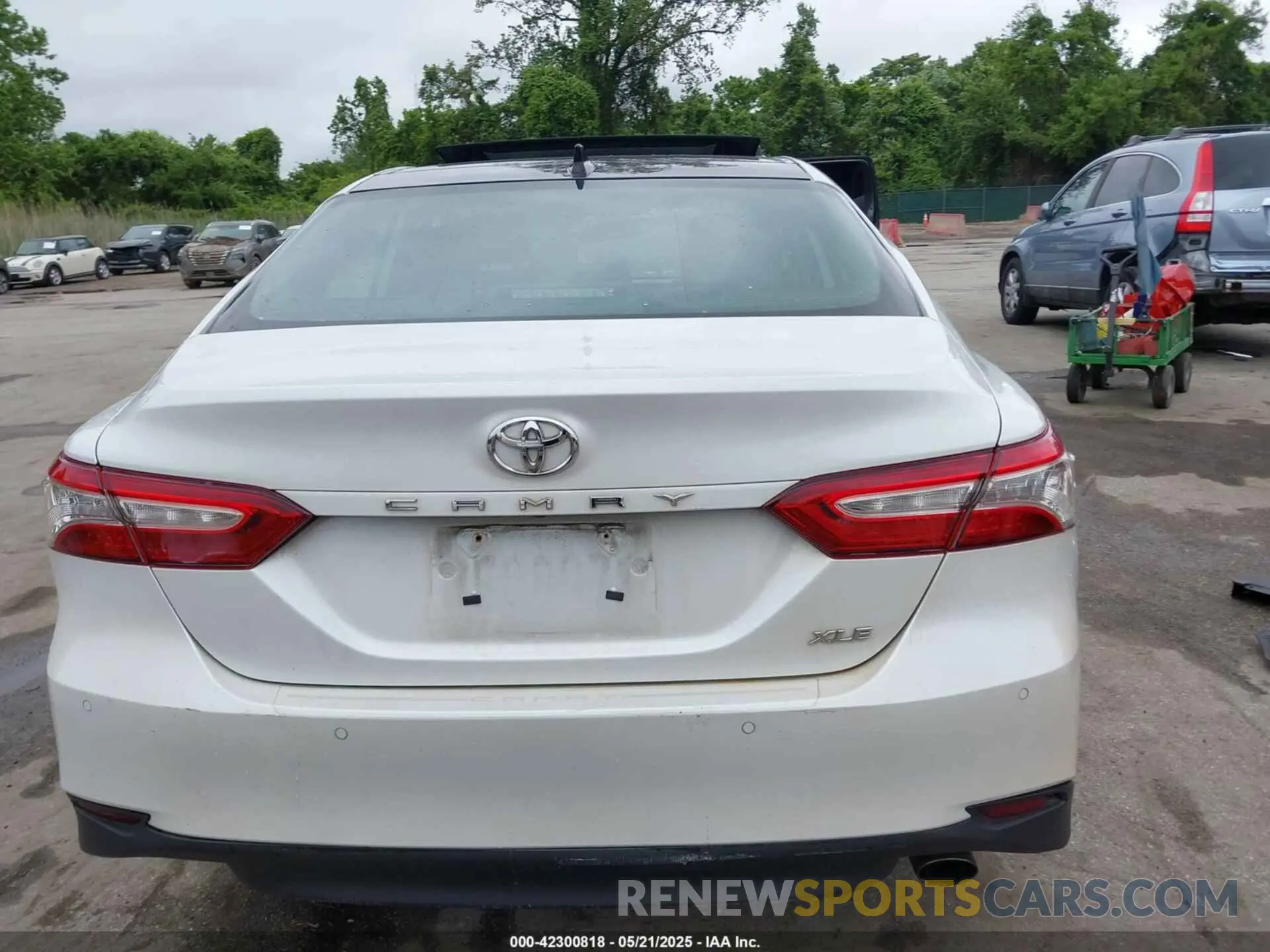 16 Photograph of a damaged car 4T1B11HK5KU720581 TOYOTA CAMRY 2019