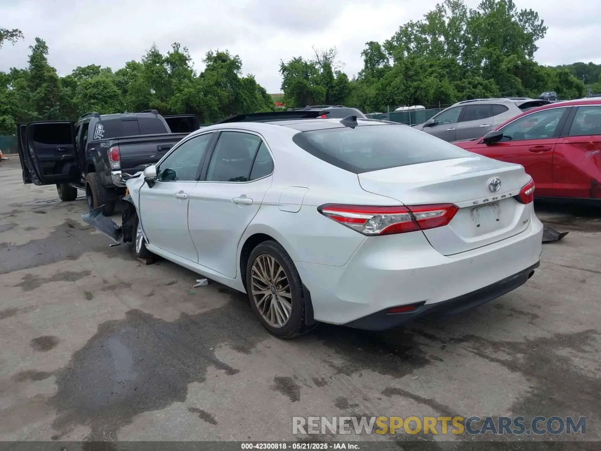 3 Photograph of a damaged car 4T1B11HK5KU720581 TOYOTA CAMRY 2019