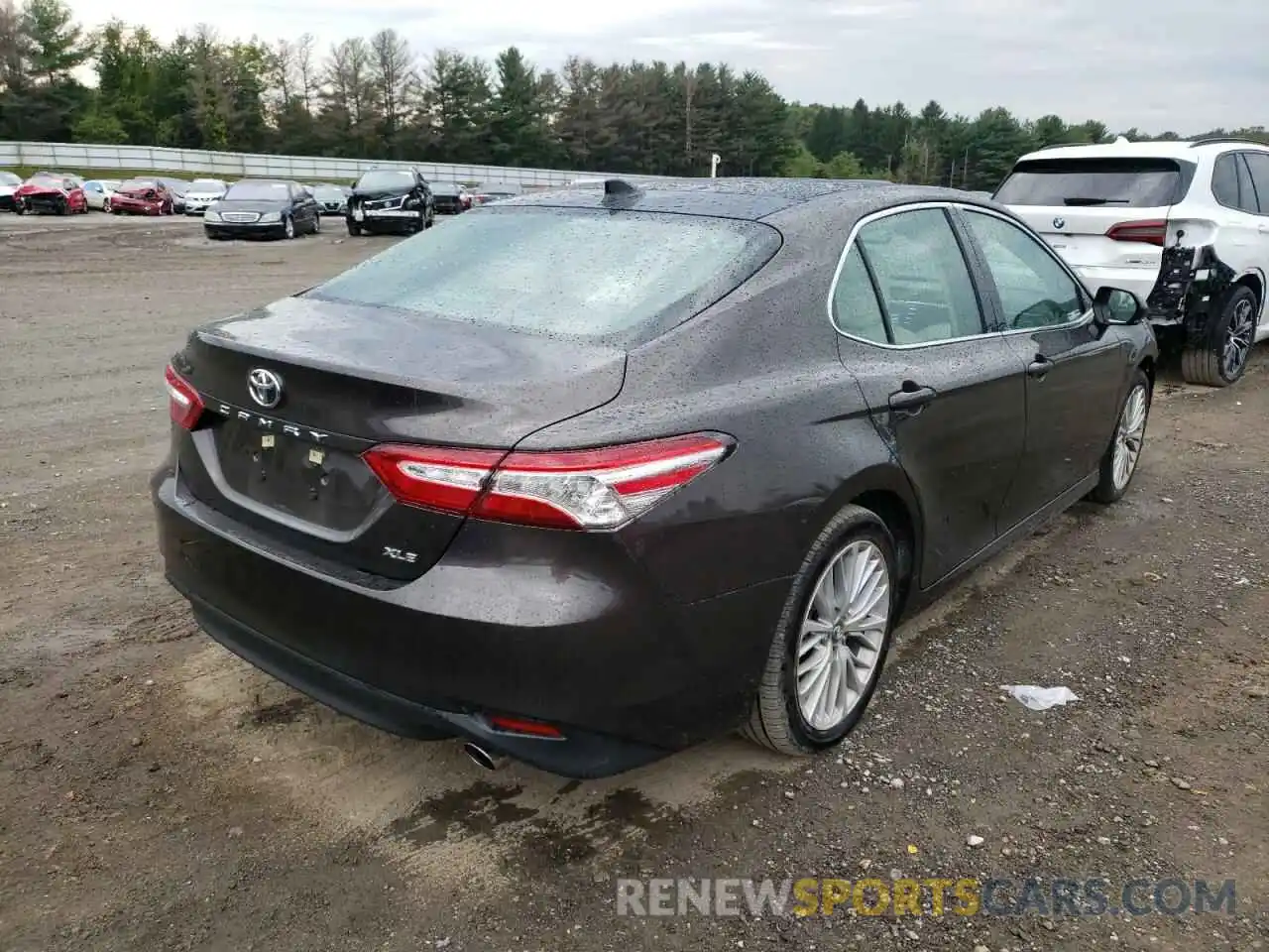 4 Photograph of a damaged car 4T1B11HK5KU732665 TOYOTA CAMRY 2019