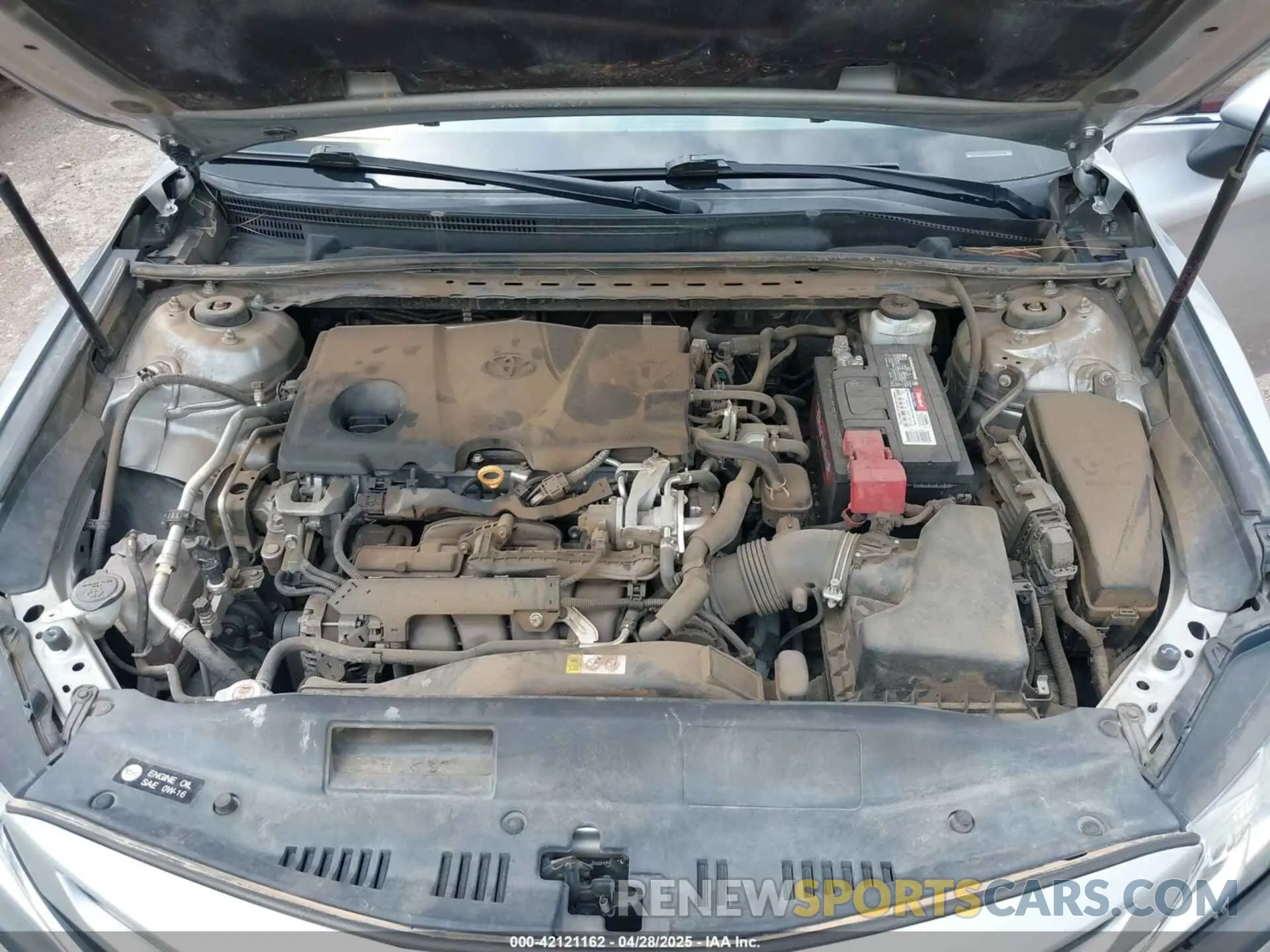 10 Photograph of a damaged car 4T1B11HK5KU744248 TOYOTA CAMRY 2019