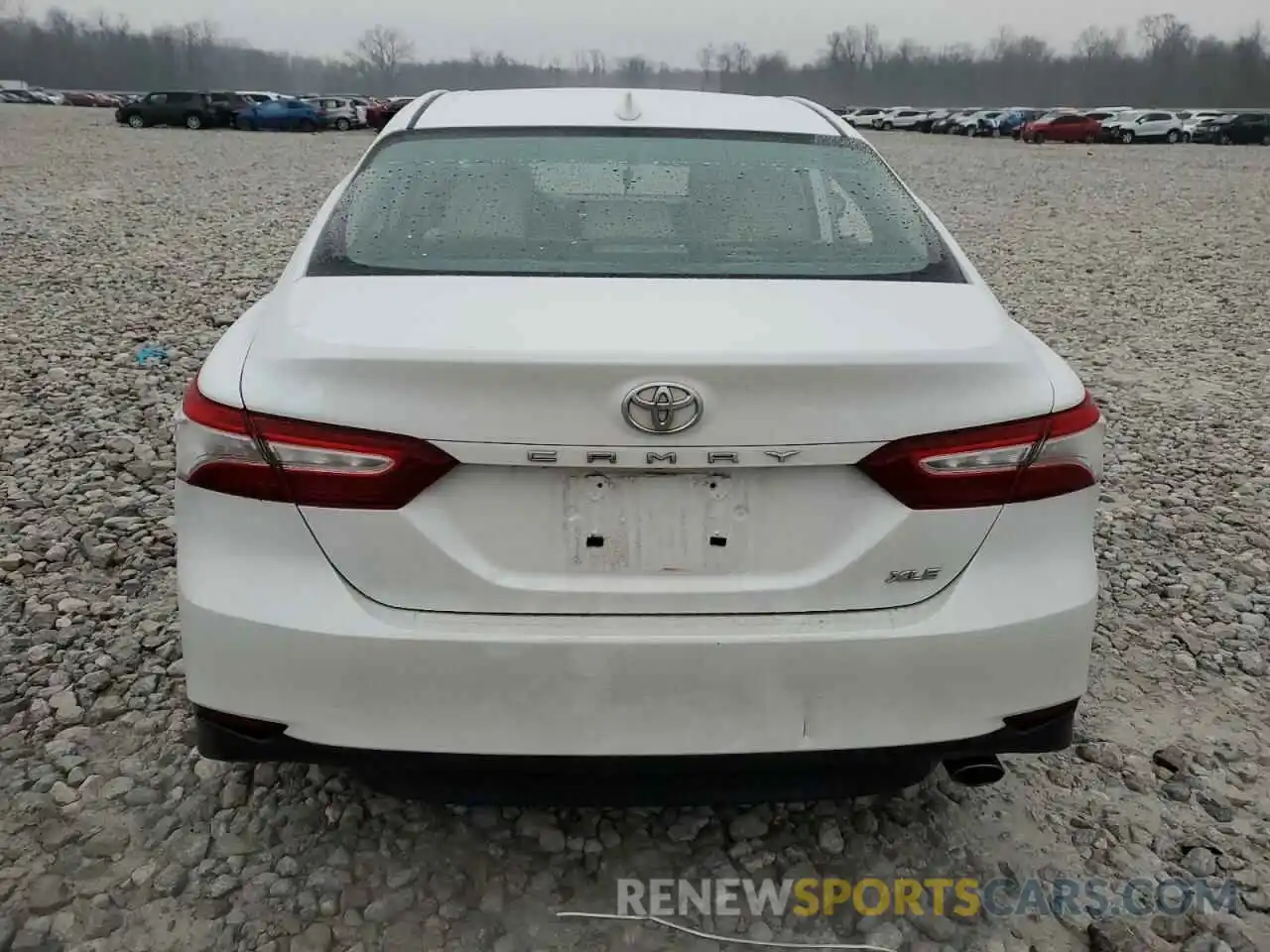 6 Photograph of a damaged car 4T1B11HK5KU748493 TOYOTA CAMRY 2019