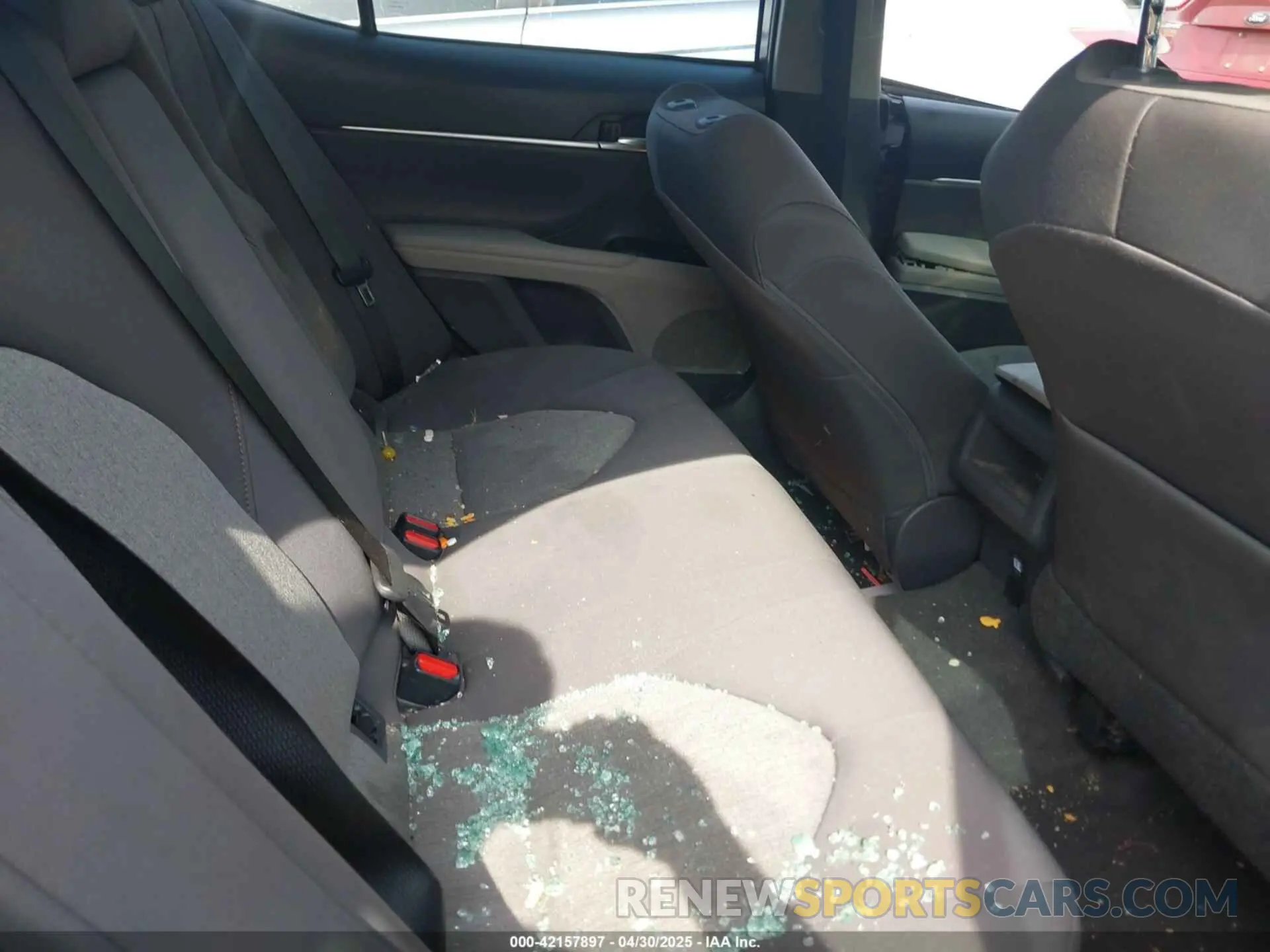 8 Photograph of a damaged car 4T1B11HK5KU762586 TOYOTA CAMRY 2019
