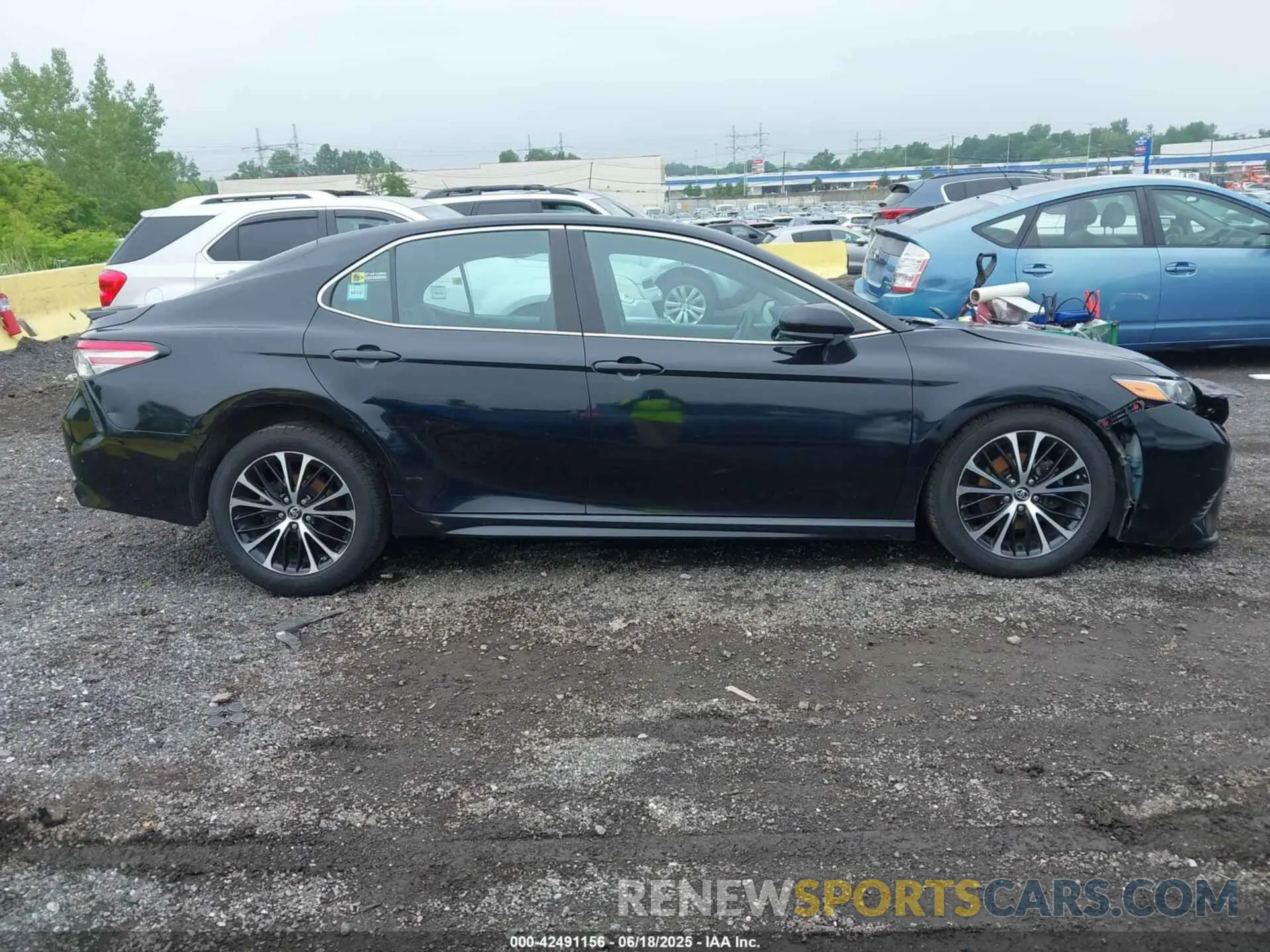 13 Photograph of a damaged car 4T1B11HK5KU768825 TOYOTA CAMRY 2019