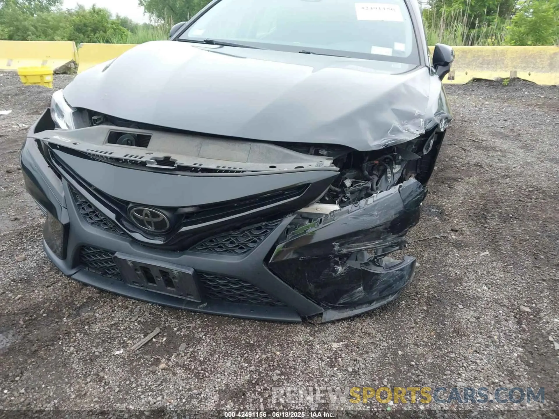 17 Photograph of a damaged car 4T1B11HK5KU768825 TOYOTA CAMRY 2019