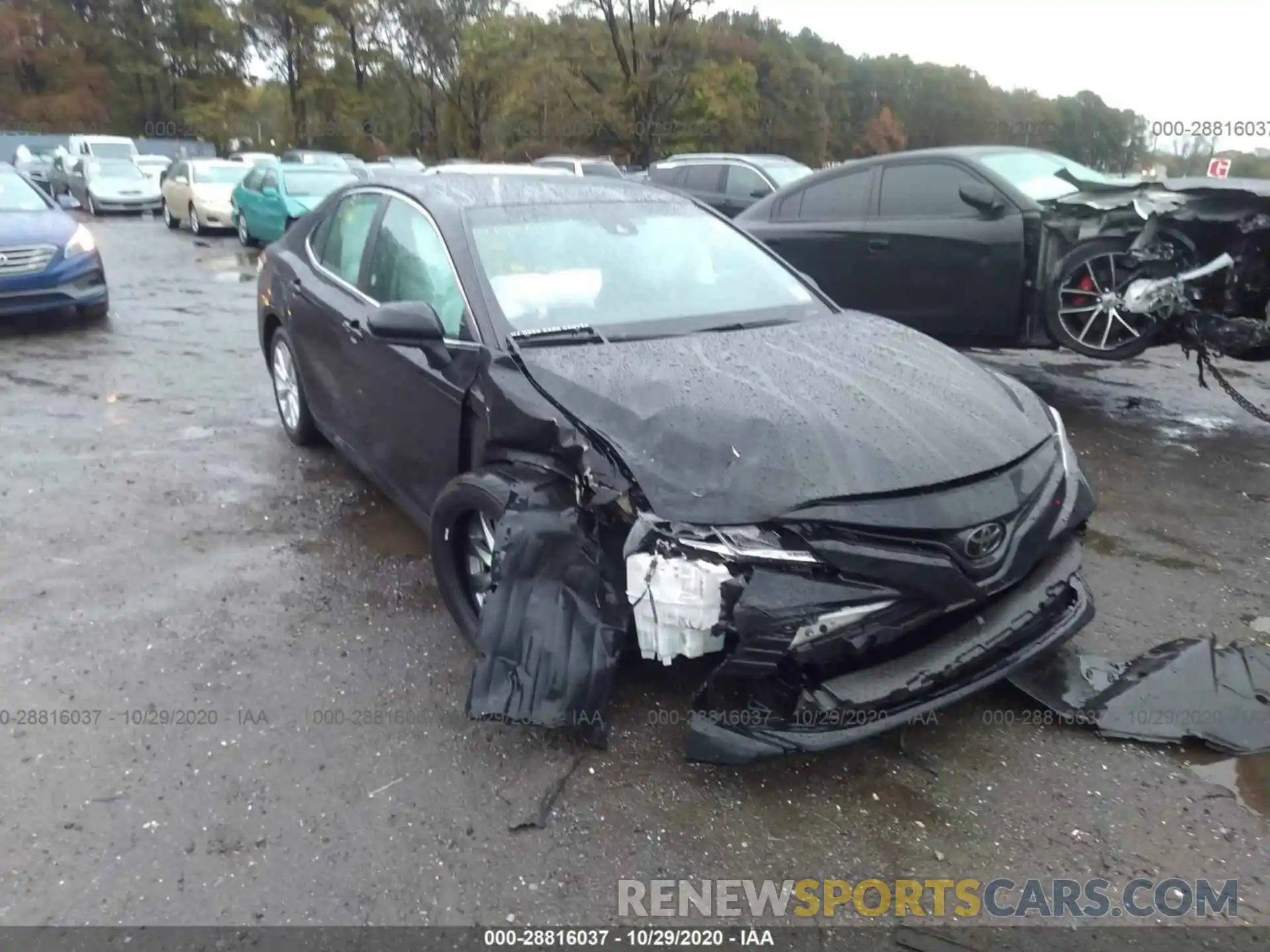 1 Photograph of a damaged car 4T1B11HK5KU790534 TOYOTA CAMRY 2019