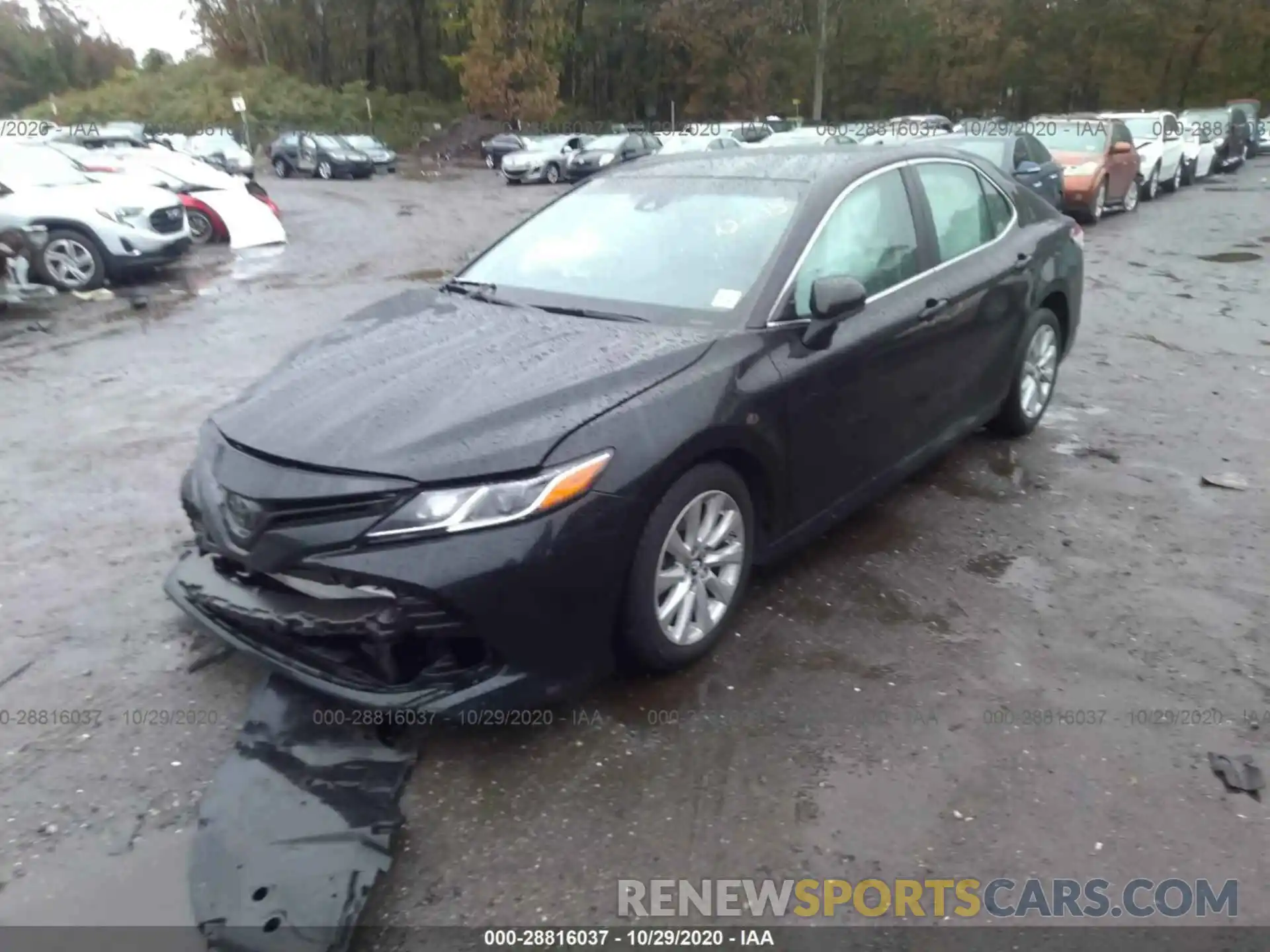 2 Photograph of a damaged car 4T1B11HK5KU790534 TOYOTA CAMRY 2019