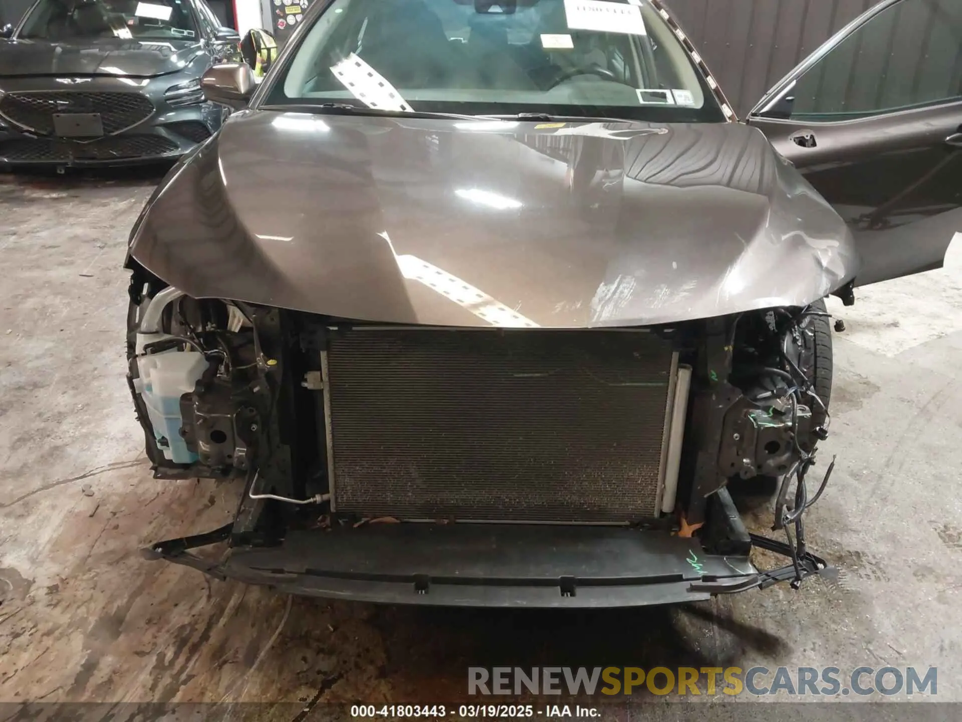 6 Photograph of a damaged car 4T1B11HK5KU852482 TOYOTA CAMRY 2019