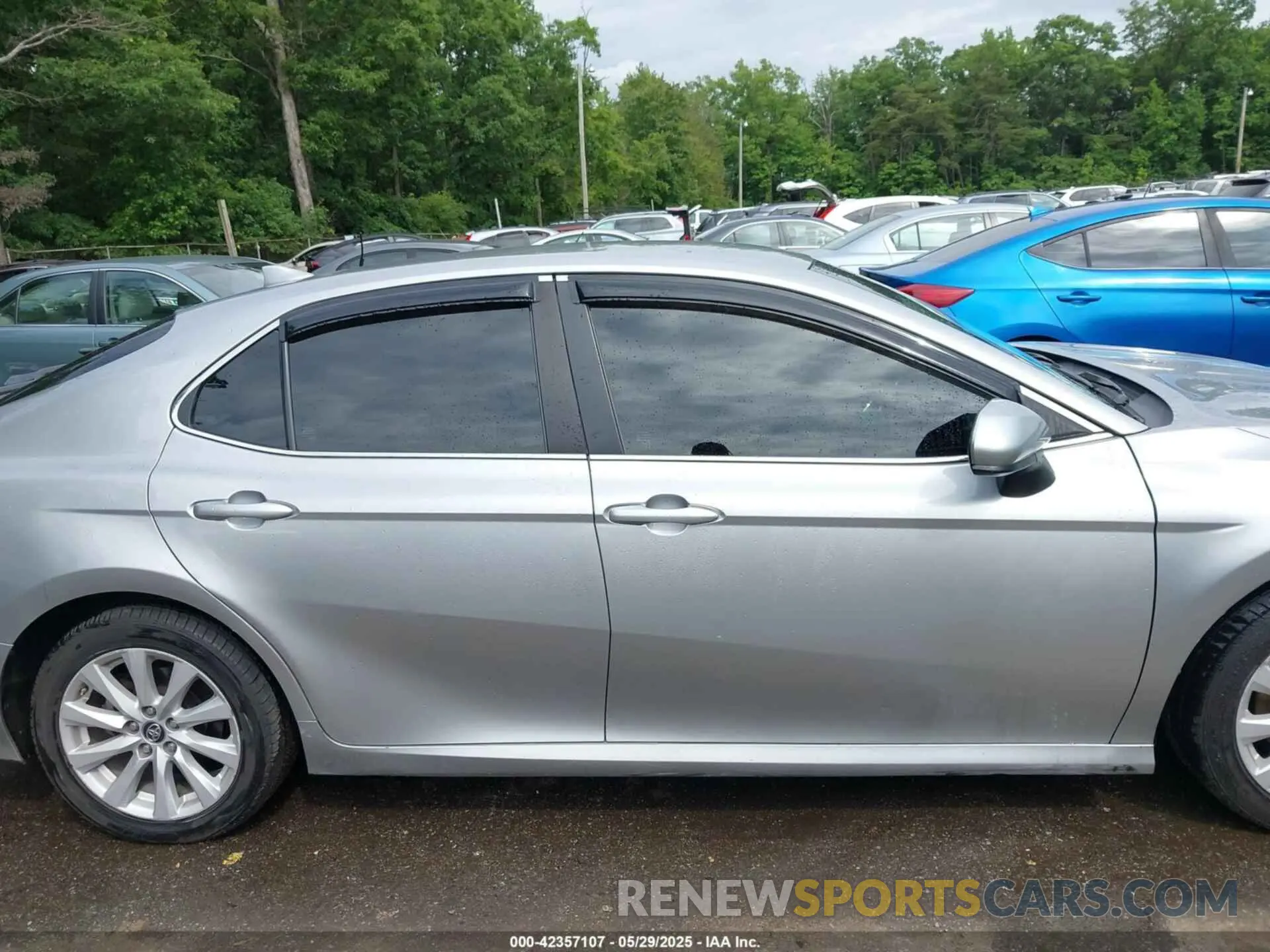 14 Photograph of a damaged car 4T1B11HK6KU170260 TOYOTA CAMRY 2019