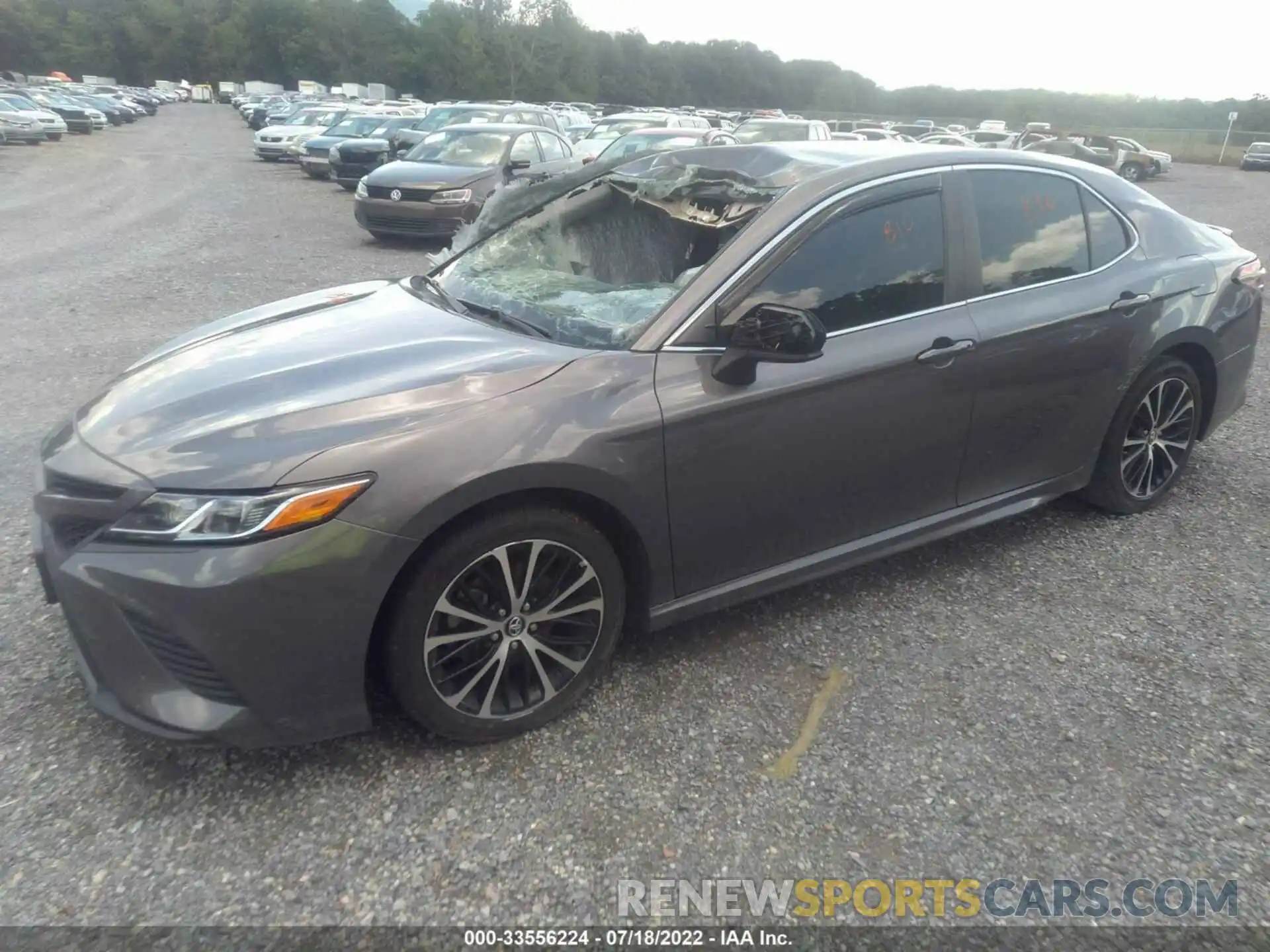 2 Photograph of a damaged car 4T1B11HK6KU224401 TOYOTA CAMRY 2019