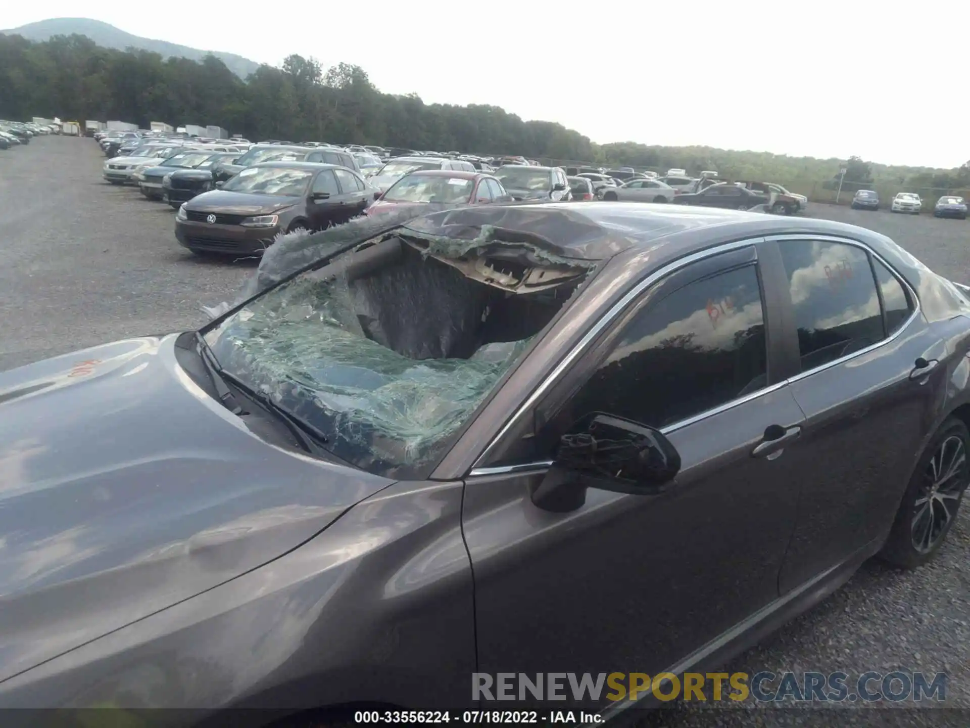 6 Photograph of a damaged car 4T1B11HK6KU224401 TOYOTA CAMRY 2019