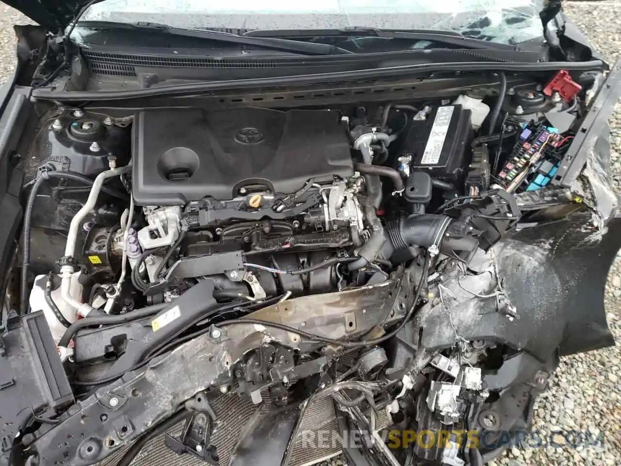 7 Photograph of a damaged car 4T1B11HK6KU224706 TOYOTA CAMRY 2019