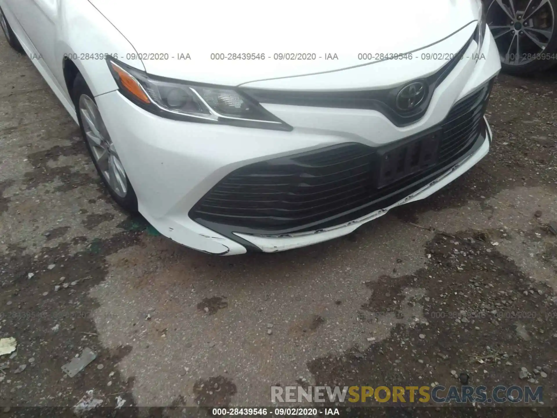 6 Photograph of a damaged car 4T1B11HK6KU231073 TOYOTA CAMRY 2019