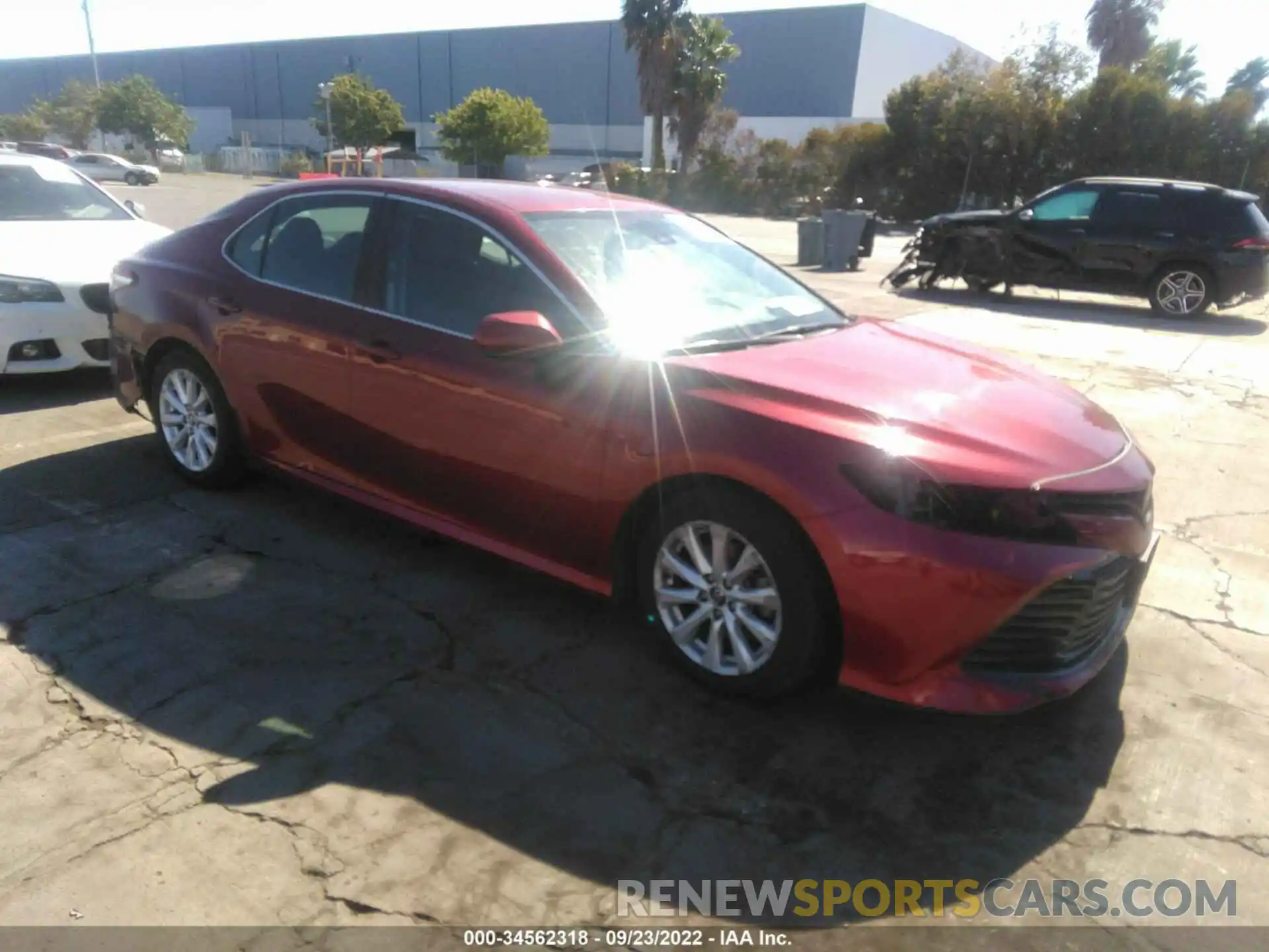 1 Photograph of a damaged car 4T1B11HK6KU242803 TOYOTA CAMRY 2019