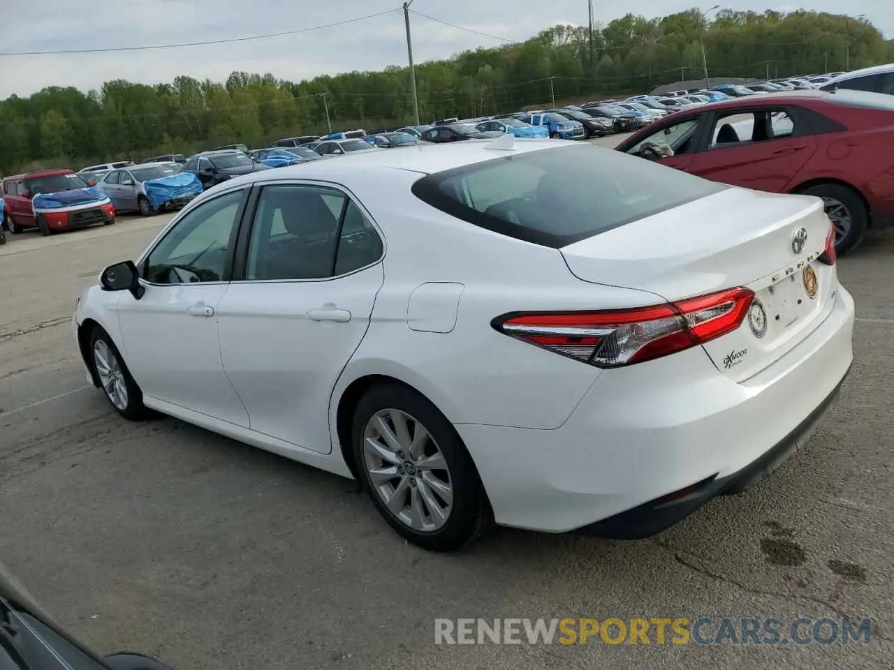2 Photograph of a damaged car 4T1B11HK6KU258712 TOYOTA CAMRY 2019