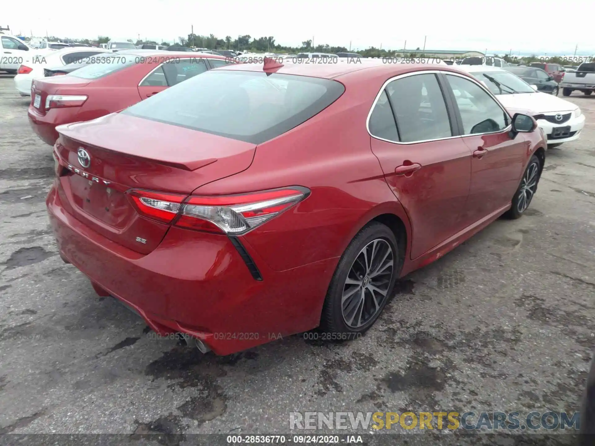 4 Photograph of a damaged car 4T1B11HK6KU290754 TOYOTA CAMRY 2019