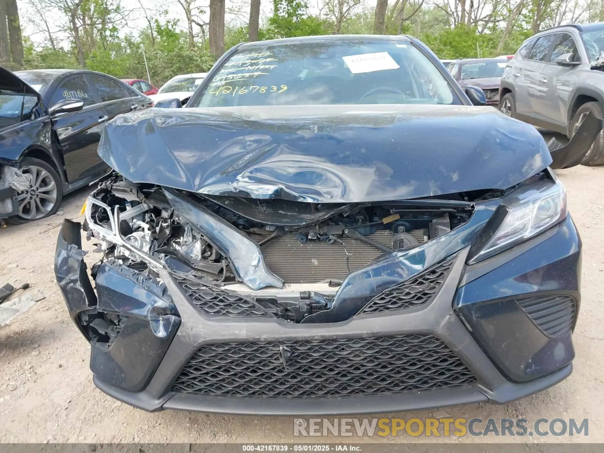 12 Photograph of a damaged car 4T1B11HK6KU695657 TOYOTA CAMRY 2019
