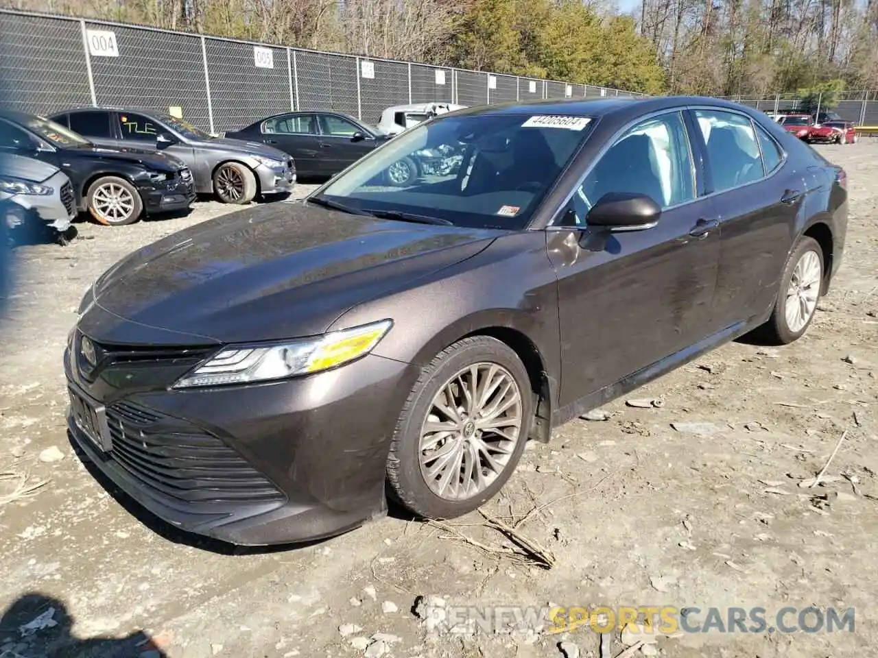 1 Photograph of a damaged car 4T1B11HK6KU700596 TOYOTA CAMRY 2019