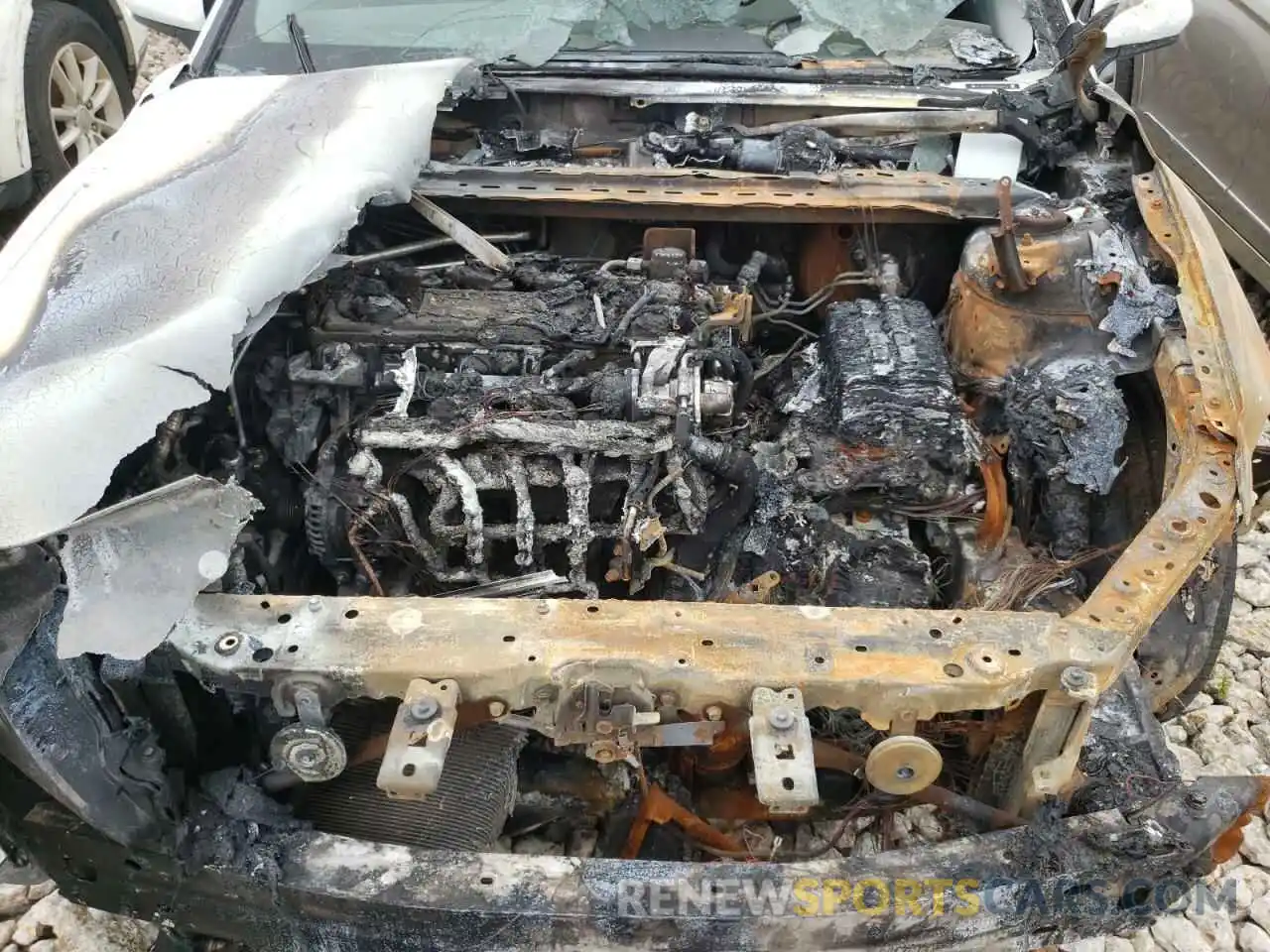 7 Photograph of a damaged car 4T1B11HK6KU729452 TOYOTA CAMRY 2019