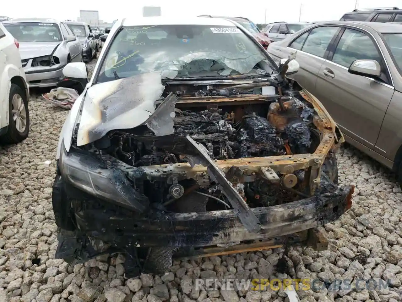 9 Photograph of a damaged car 4T1B11HK6KU729452 TOYOTA CAMRY 2019