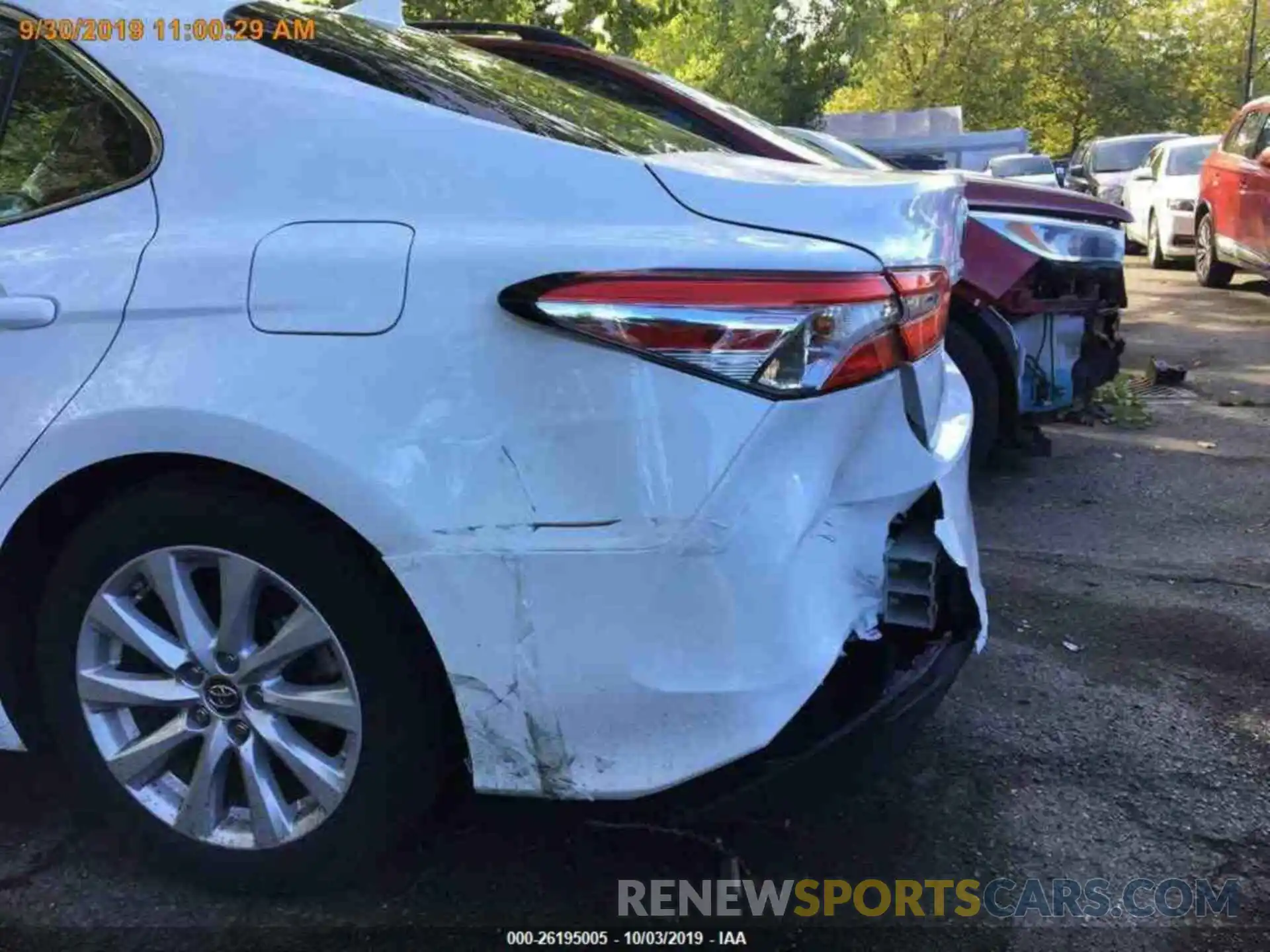 14 Photograph of a damaged car 4T1B11HK6KU729645 TOYOTA CAMRY 2019