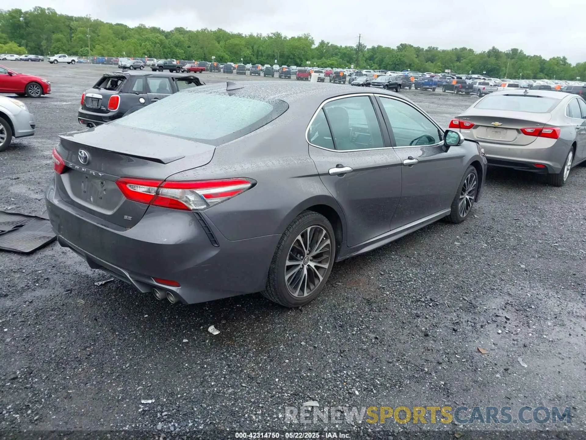 4 Photograph of a damaged car 4T1B11HK6KU778697 TOYOTA CAMRY 2019
