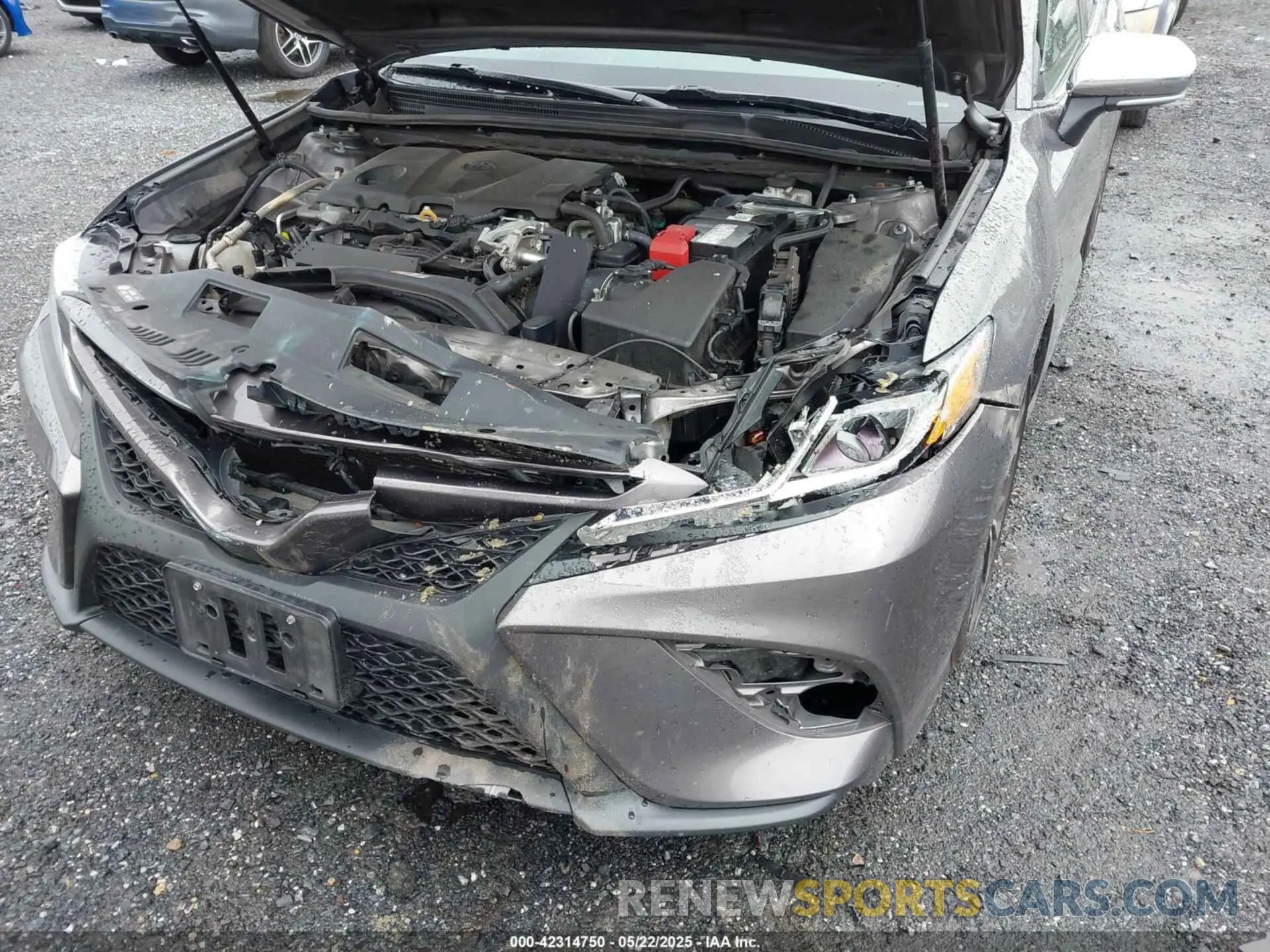 6 Photograph of a damaged car 4T1B11HK6KU778697 TOYOTA CAMRY 2019