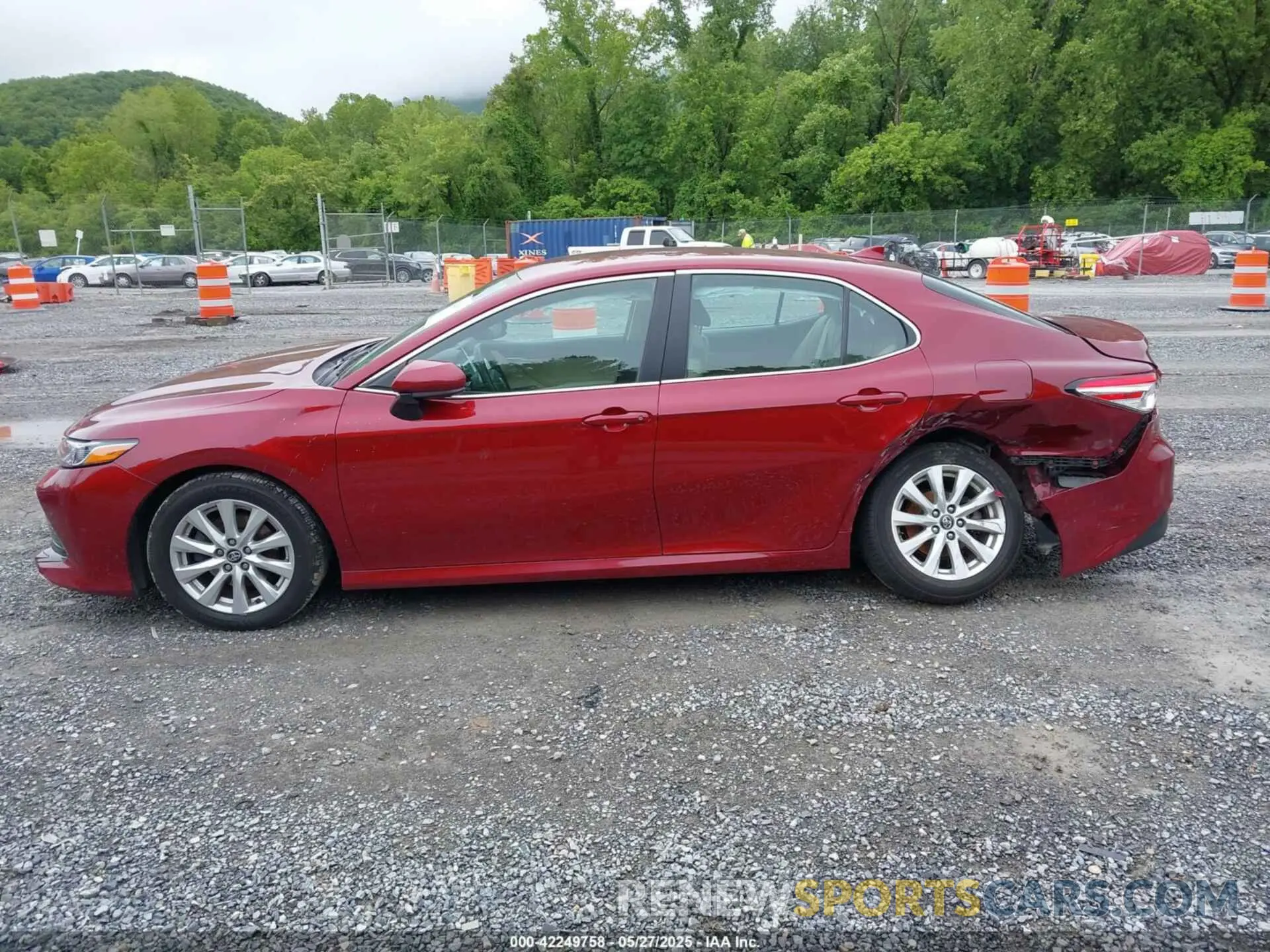 14 Photograph of a damaged car 4T1B11HK6KU825971 TOYOTA CAMRY 2019