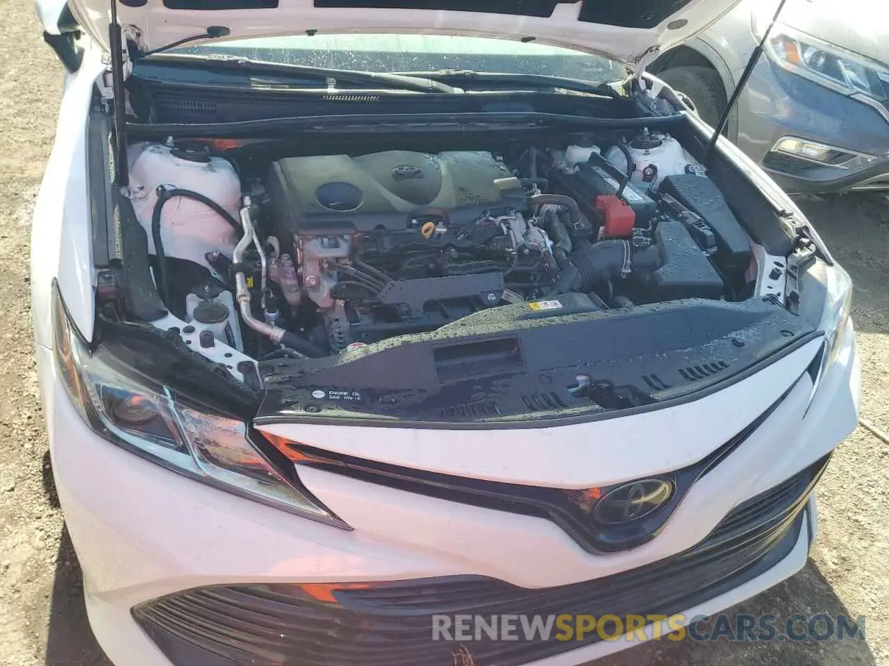 11 Photograph of a damaged car 4T1B11HK6KU844519 TOYOTA CAMRY 2019