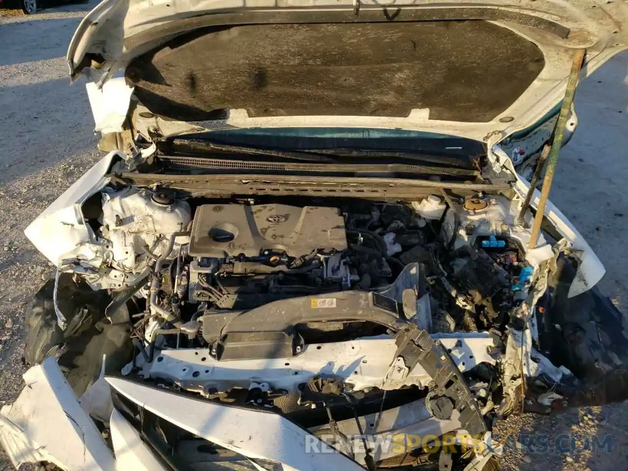 7 Photograph of a damaged car 4T1B11HK6KU856315 TOYOTA CAMRY 2019