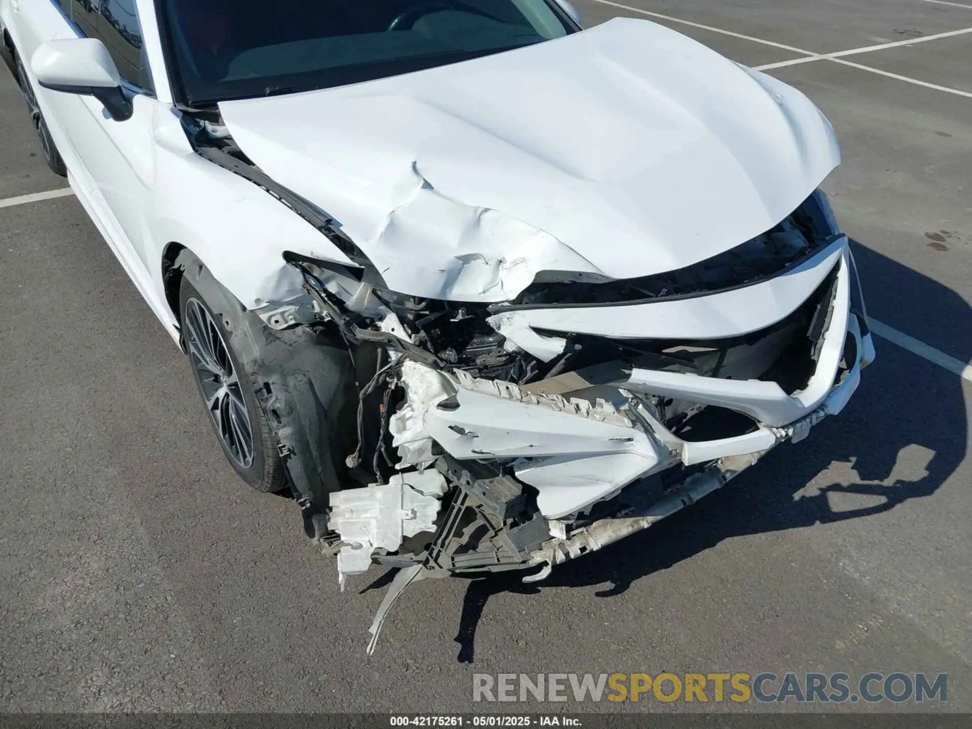 6 Photograph of a damaged car 4T1B11HK7KU161521 TOYOTA CAMRY 2019