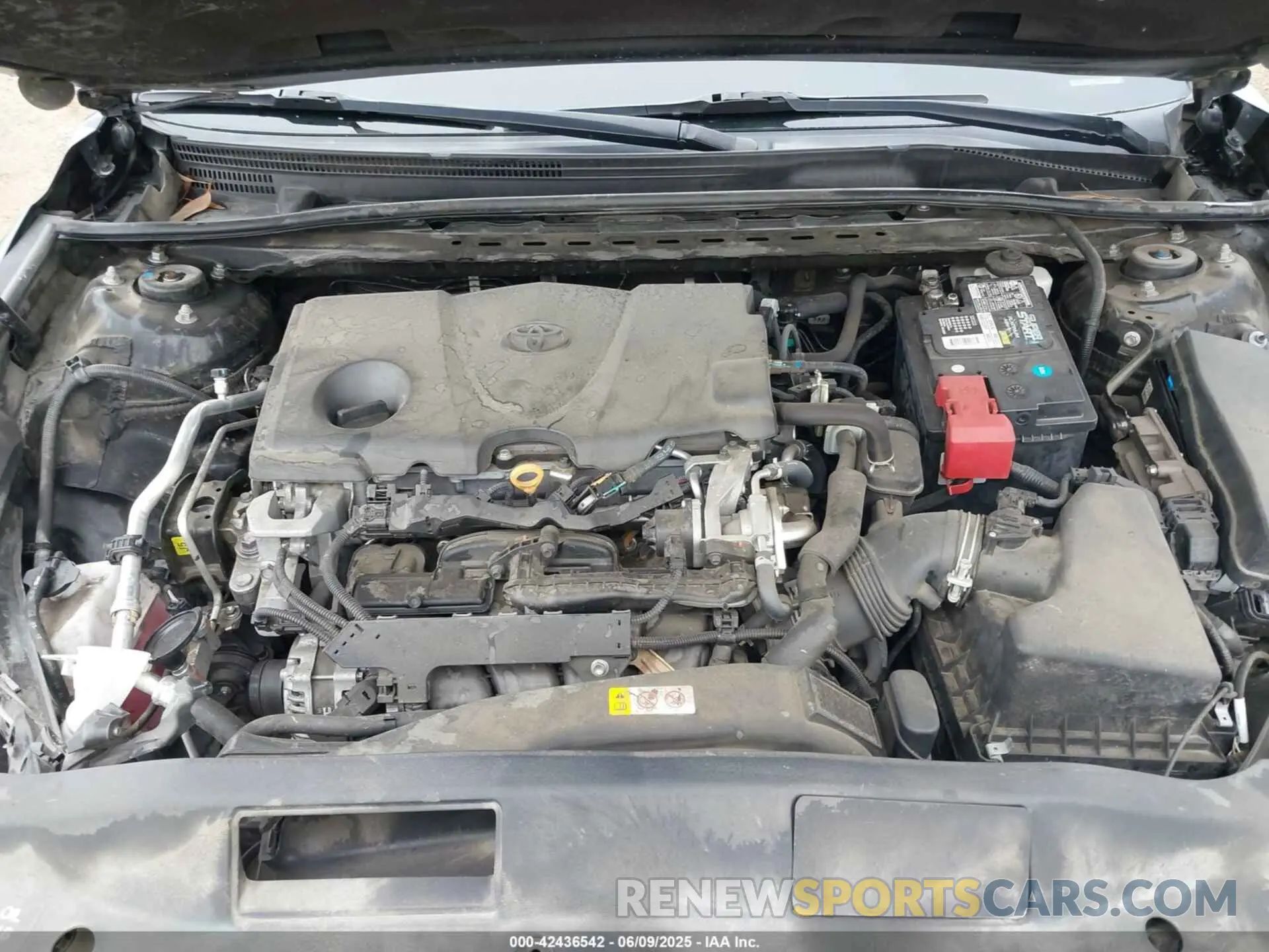 10 Photograph of a damaged car 4T1B11HK7KU210863 TOYOTA CAMRY 2019