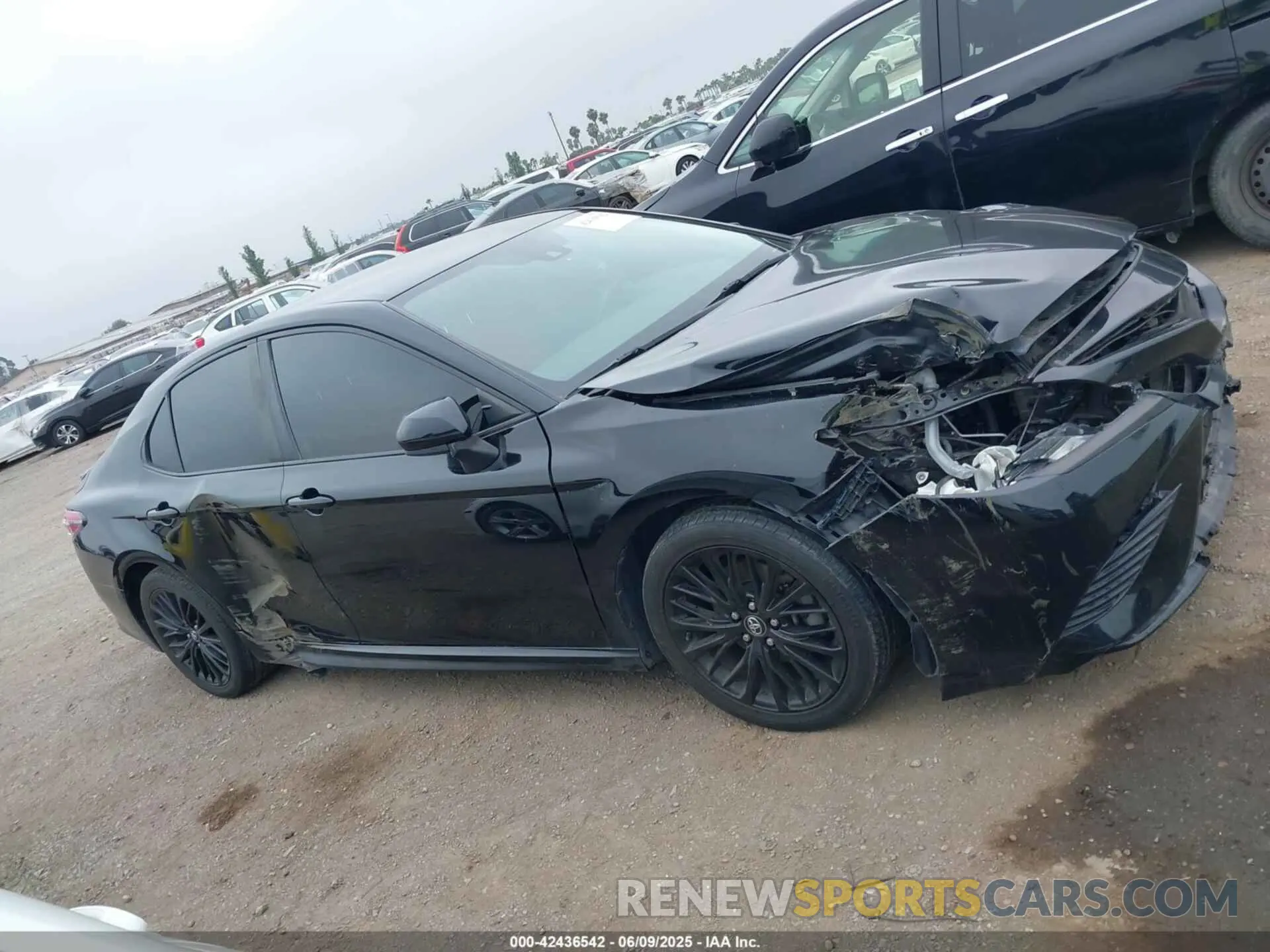 13 Photograph of a damaged car 4T1B11HK7KU210863 TOYOTA CAMRY 2019