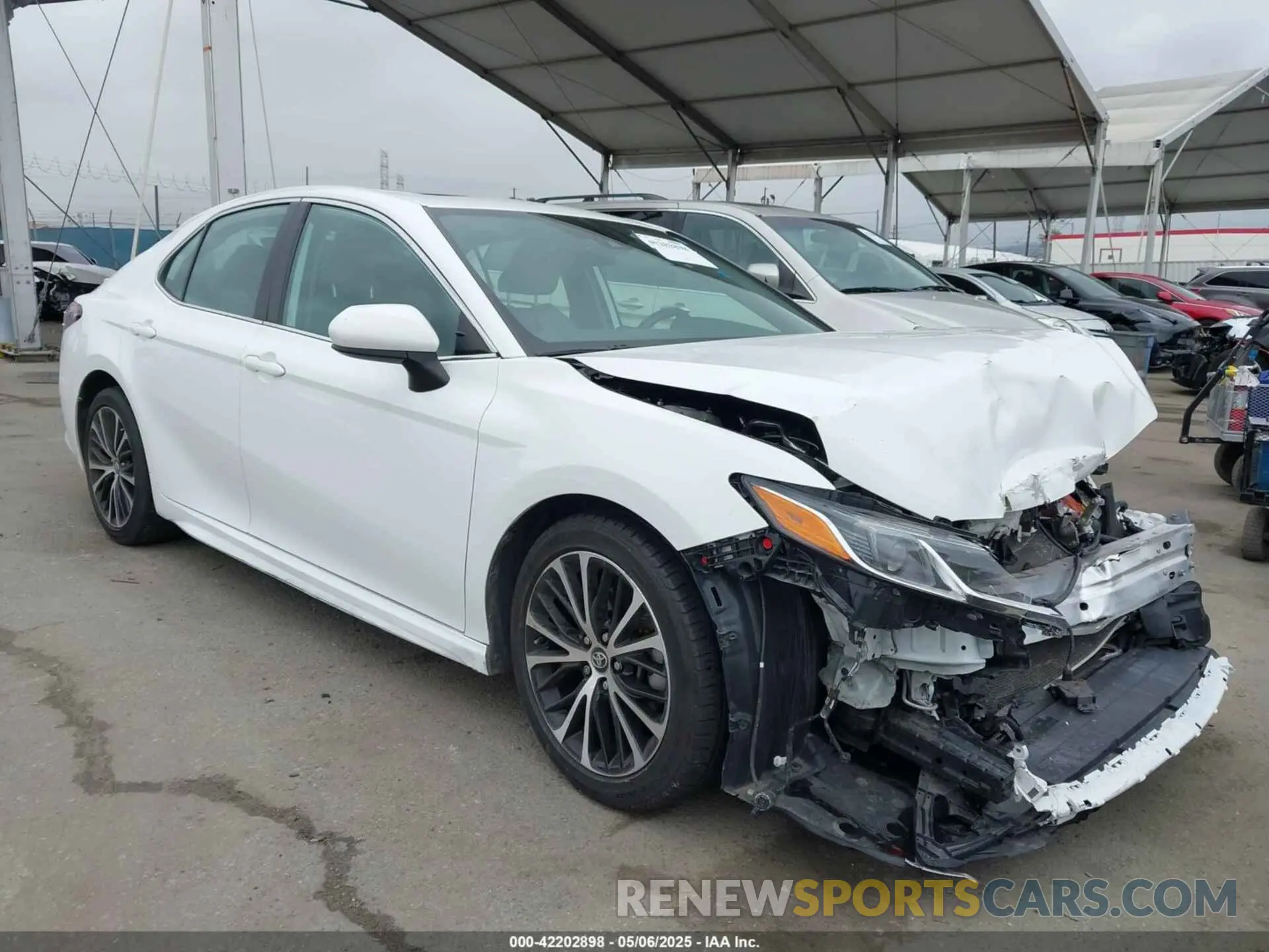 1 Photograph of a damaged car 4T1B11HK7KU223113 TOYOTA CAMRY 2019