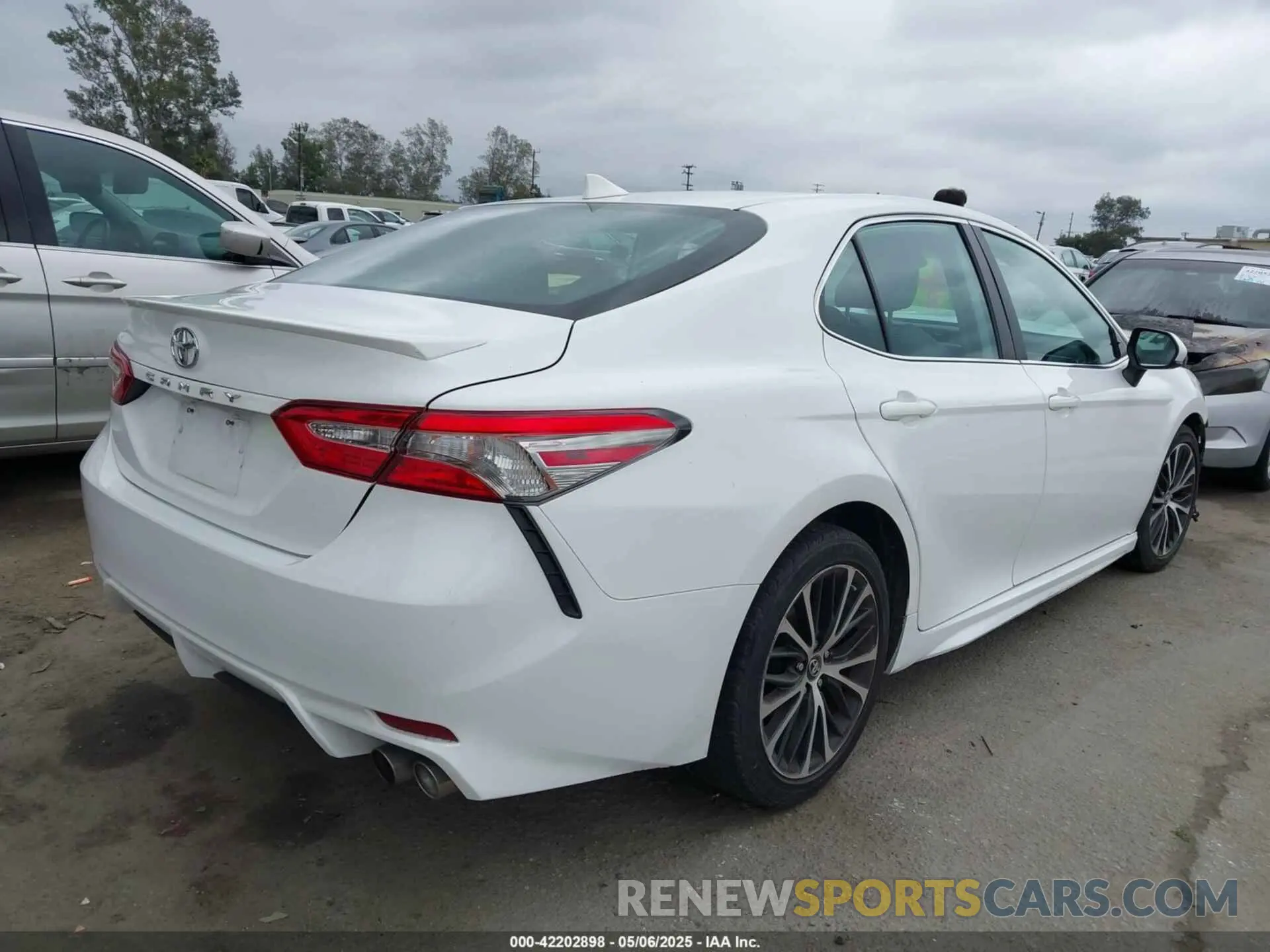 4 Photograph of a damaged car 4T1B11HK7KU223113 TOYOTA CAMRY 2019