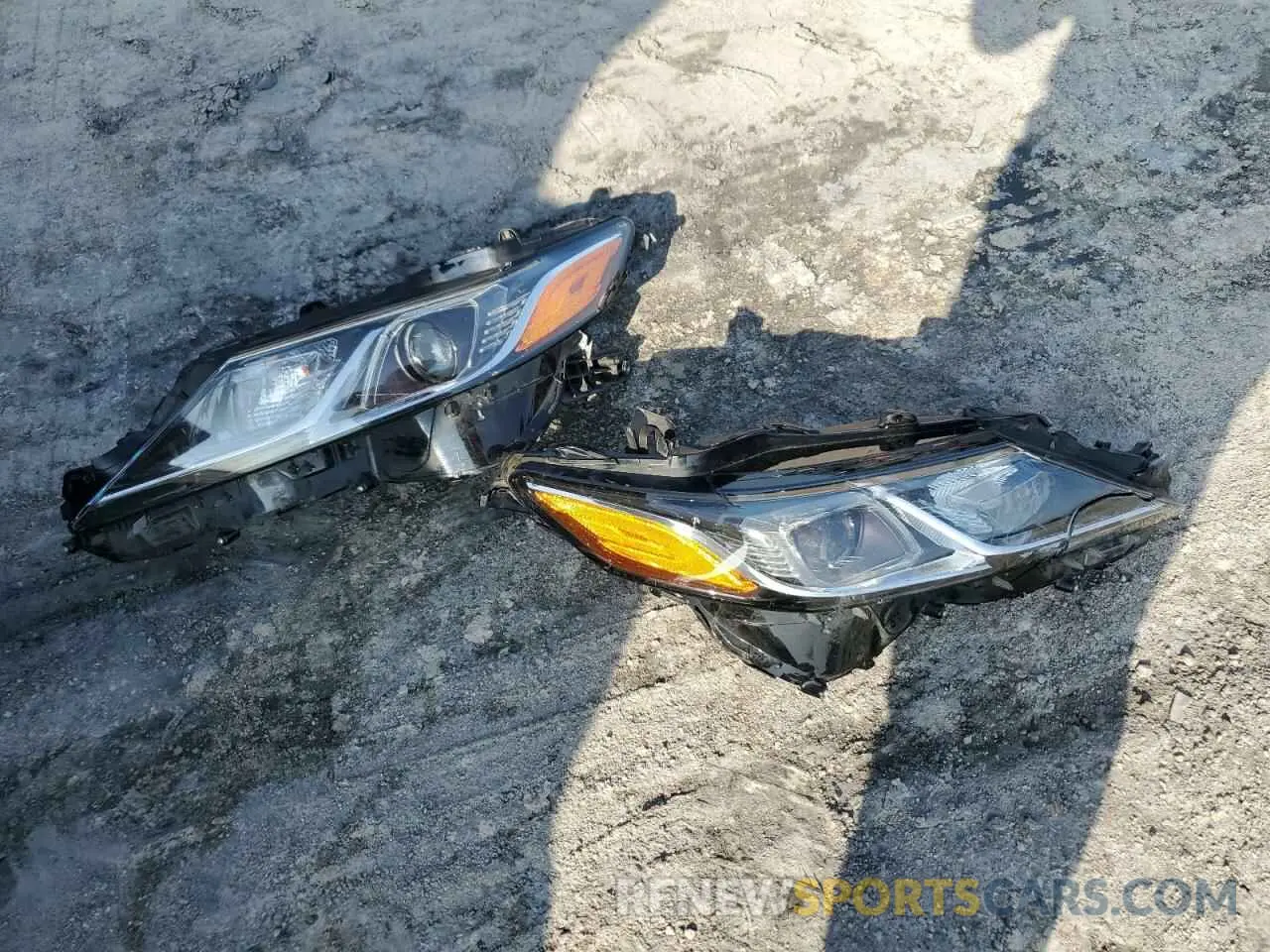 12 Photograph of a damaged car 4T1B11HK7KU245175 TOYOTA CAMRY 2019