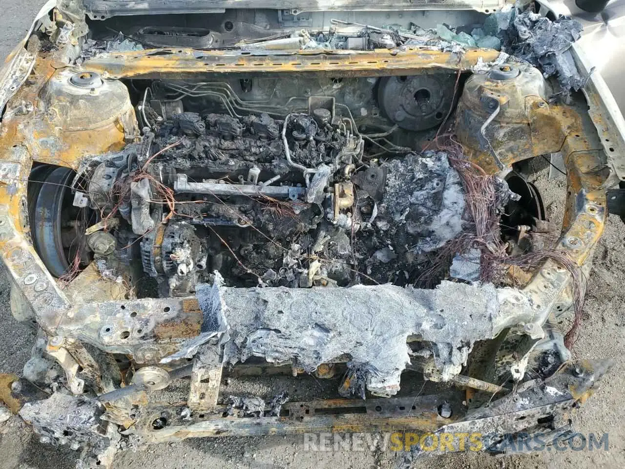 11 Photograph of a damaged car 4T1B11HK7KU248657 TOYOTA CAMRY 2019