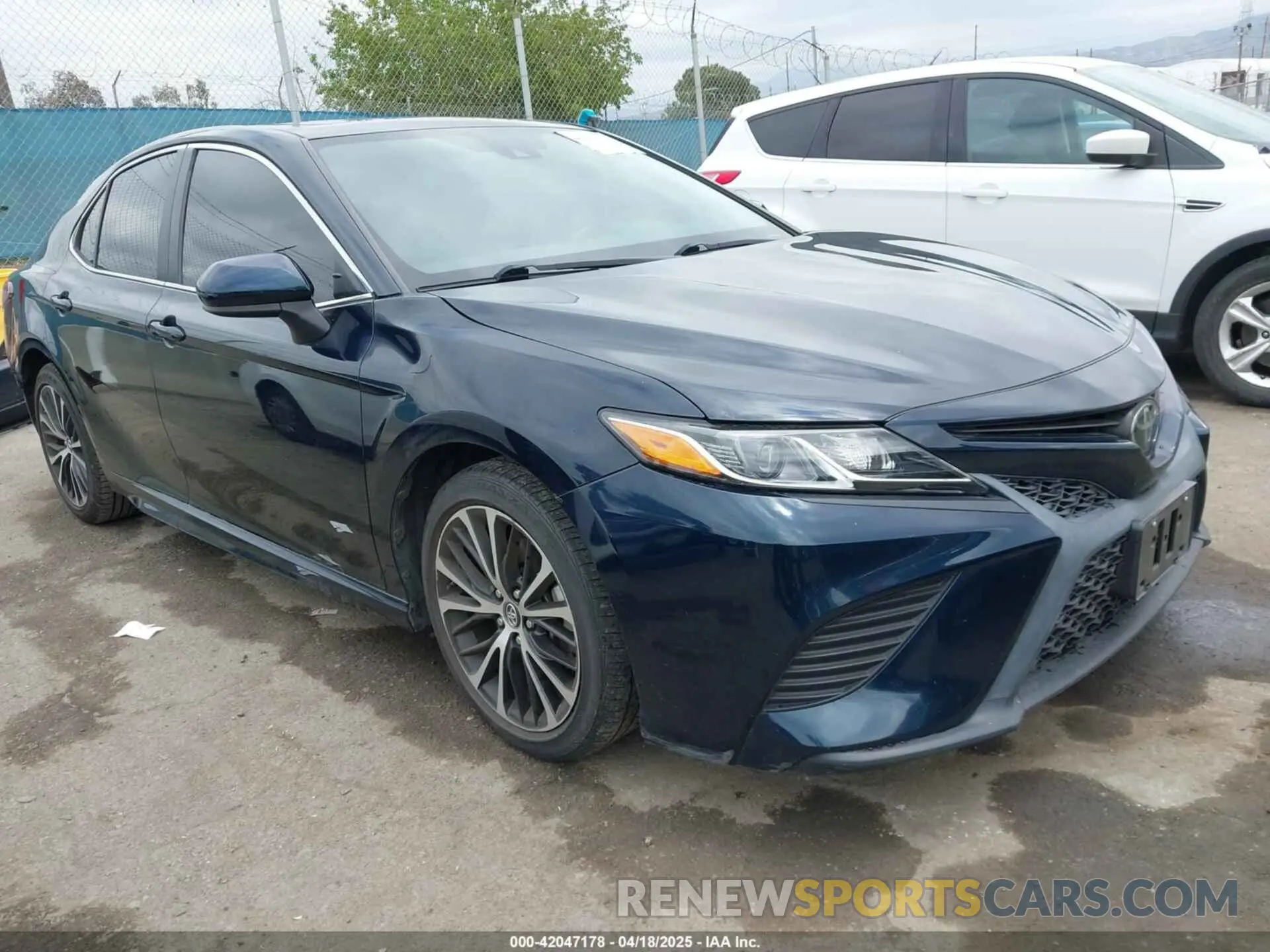 1 Photograph of a damaged car 4T1B11HK7KU282596 TOYOTA CAMRY 2019