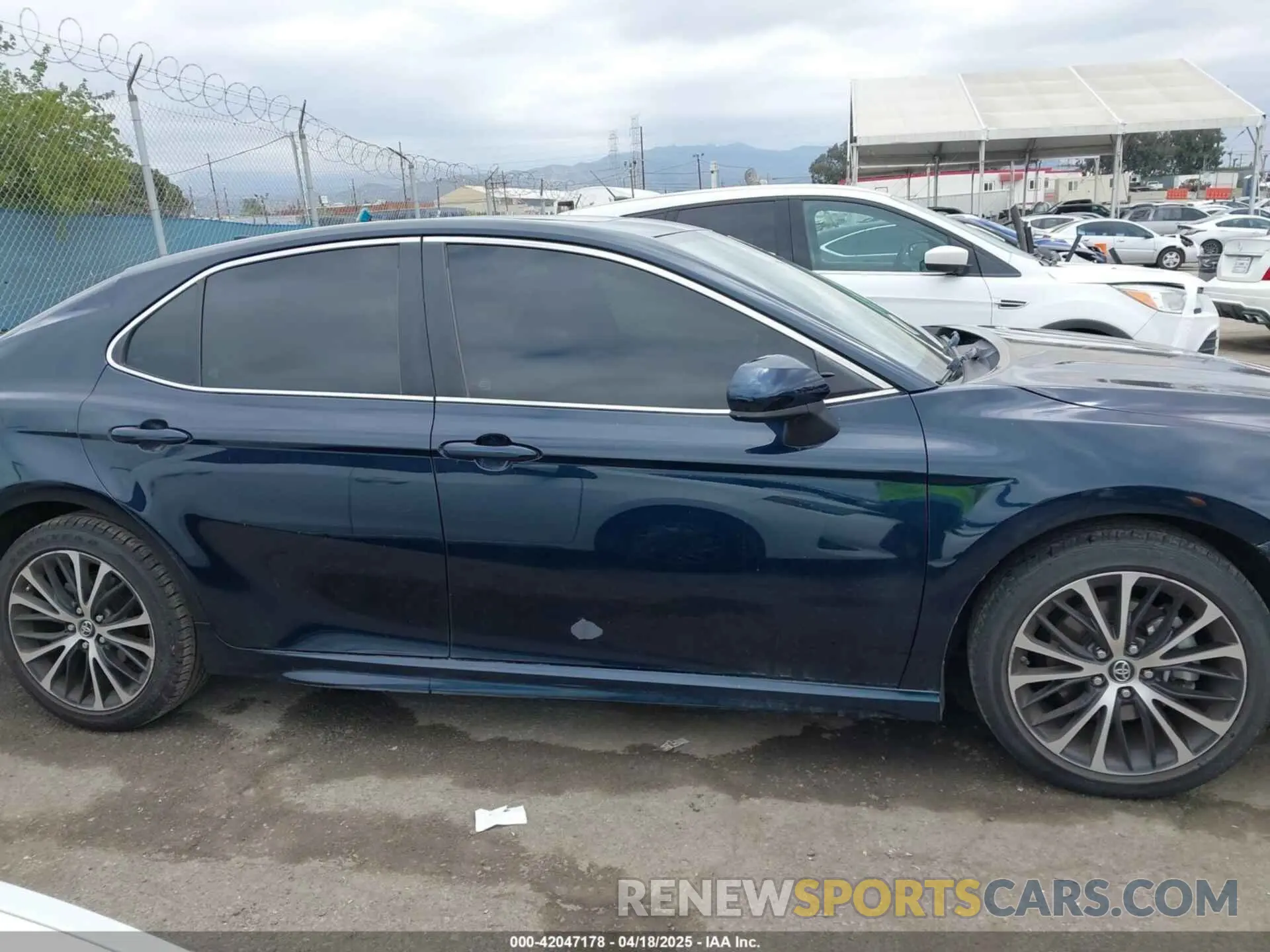 14 Photograph of a damaged car 4T1B11HK7KU282596 TOYOTA CAMRY 2019